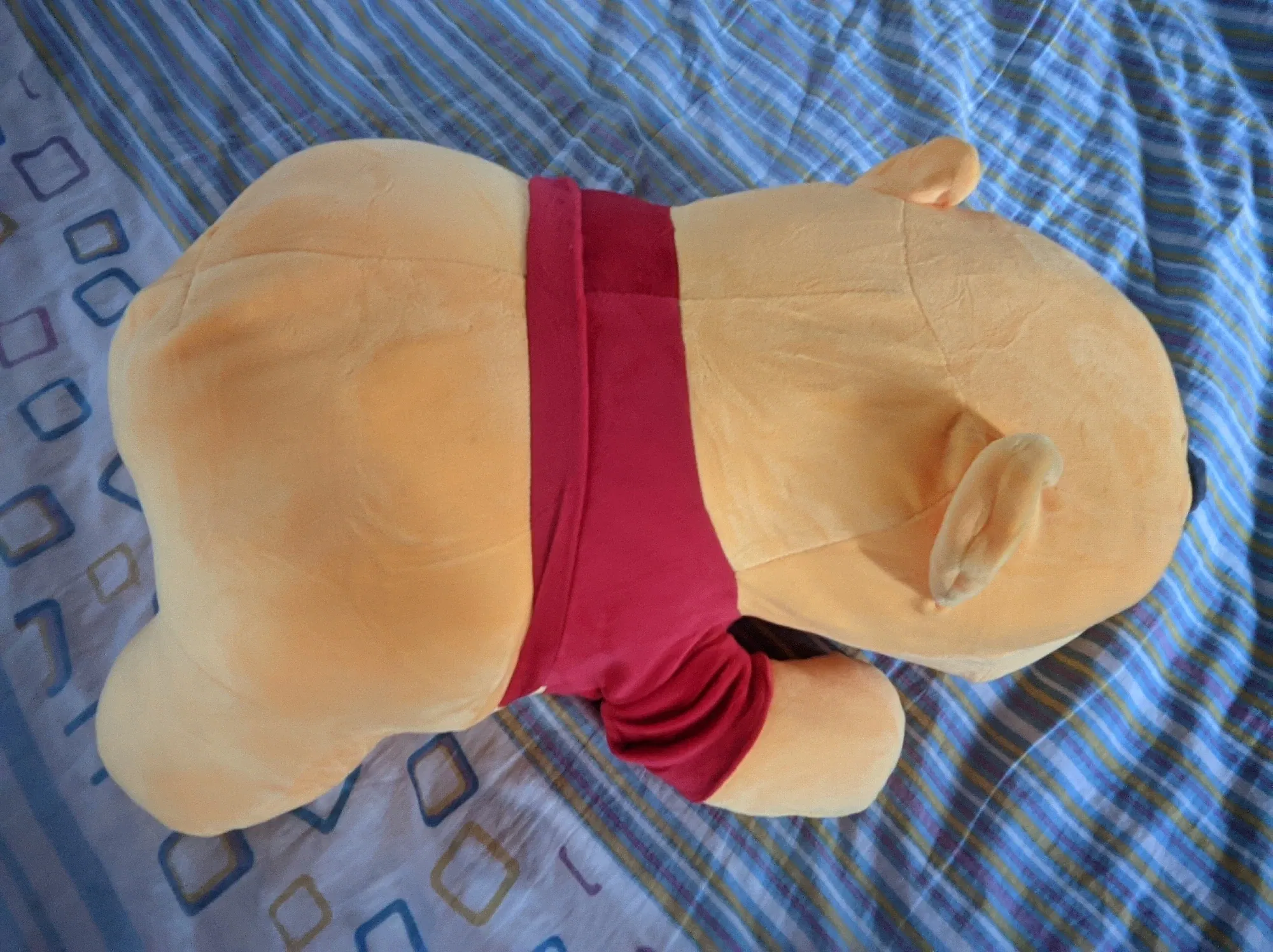 2L7UFYIadiBOI6Q5_PXL_20250201_092730167.webp