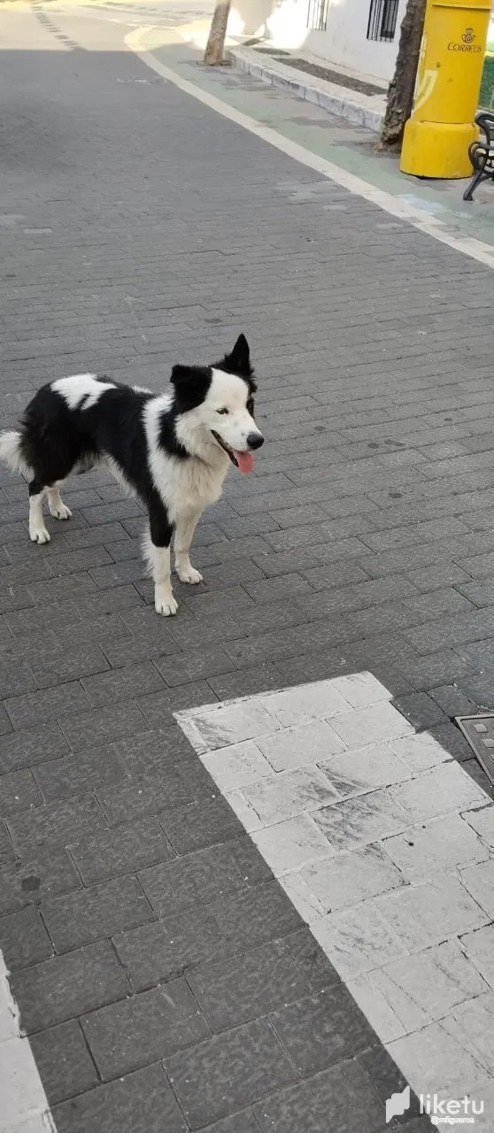 9q9cCQKfQKocePKb_WhatsApp_Image_2025-08-17_at_1.58.52_PM.webp
