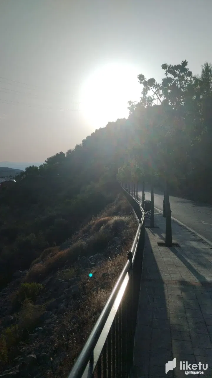 vThFGhWOH7J8fff7_WhatsApp_Image_2025-06-22_at_8.10.53_AM.webp