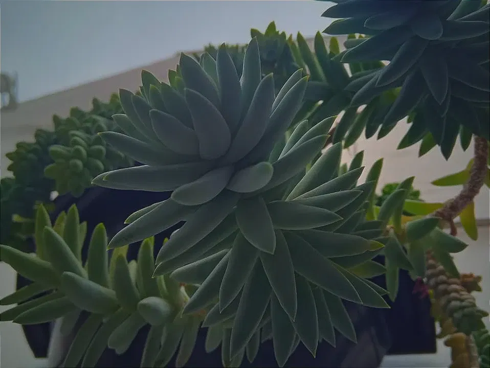 BTBFCdwRU8IgJ69d_3.webp