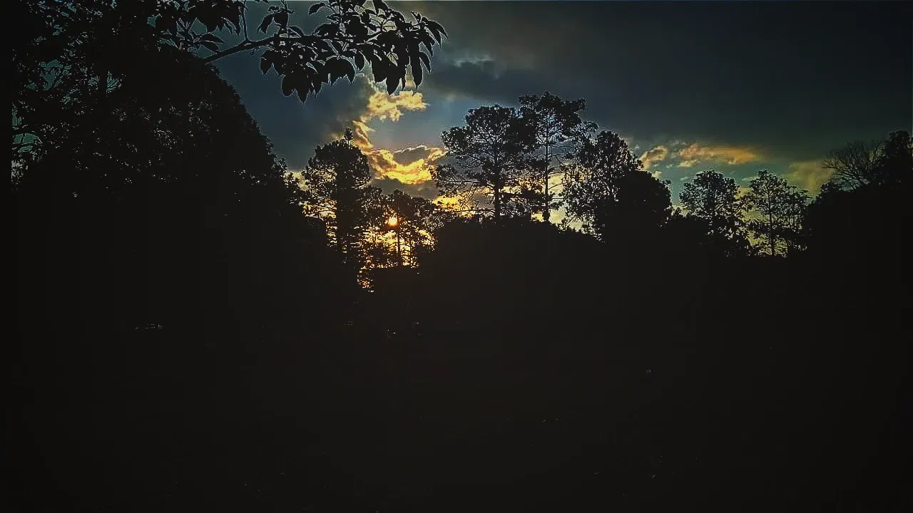 BjKWk5t69PBCvnkt_3.webp