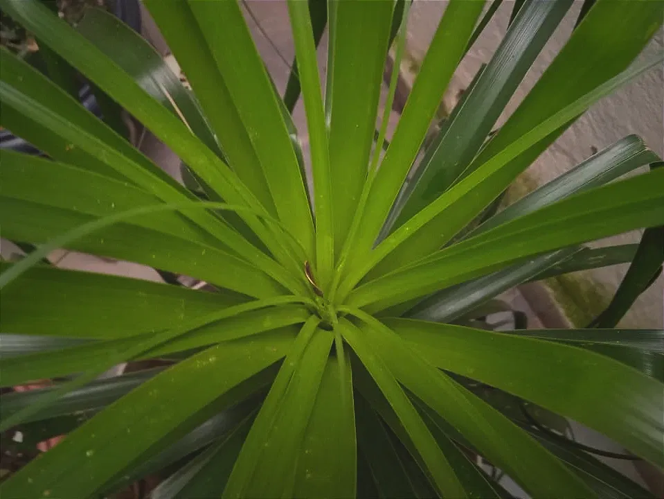 ZNhMxftBJc00k9q0_4.webp