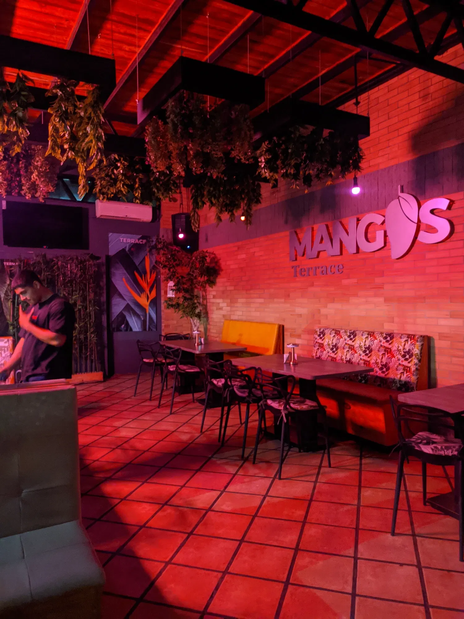CPV50cNiWPqUXH9J_IMG_20240827_193013.webp