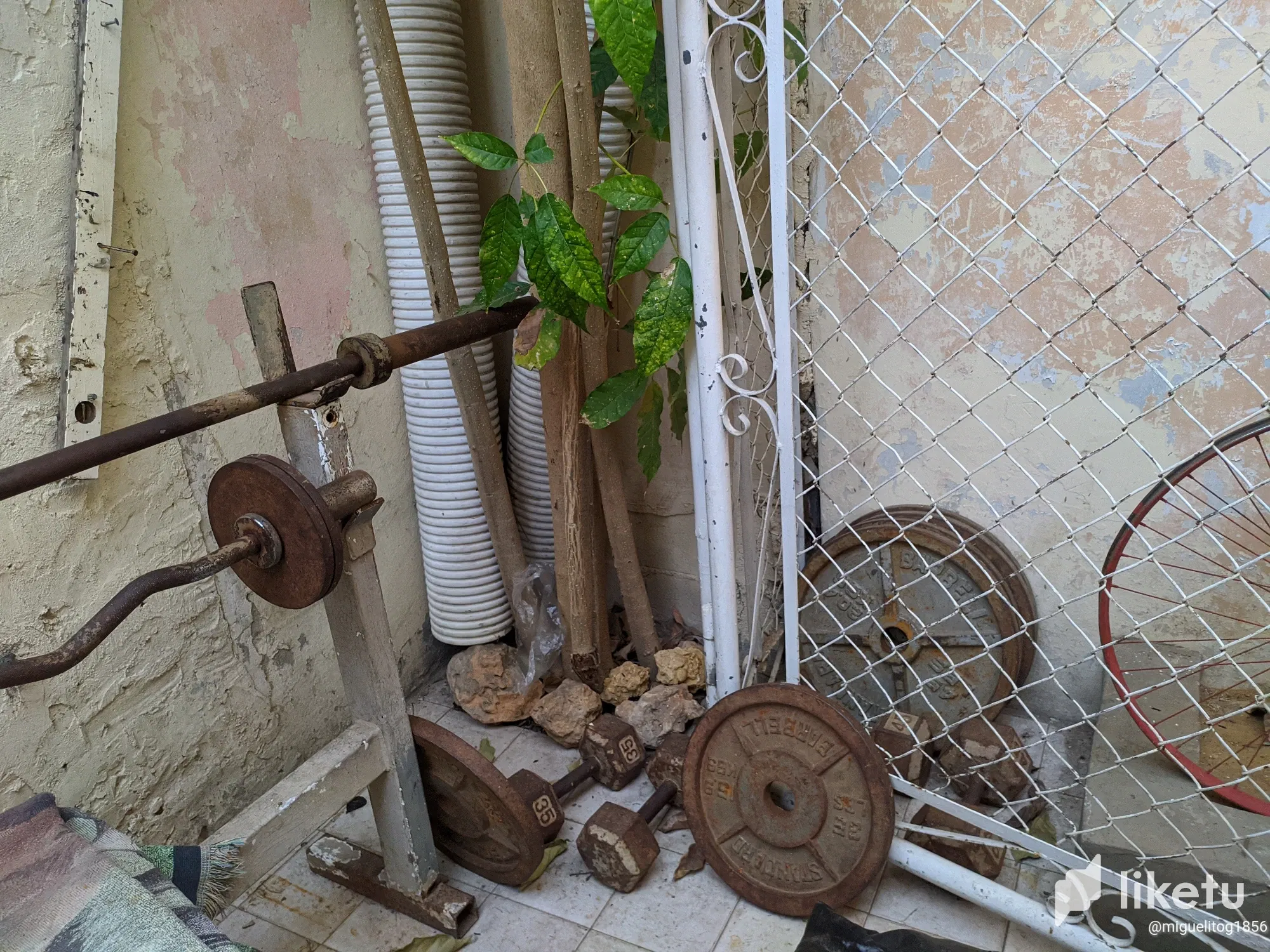 clrpvsi4p004ipgsz8145enmb_IMG_20240121_183351.webp
