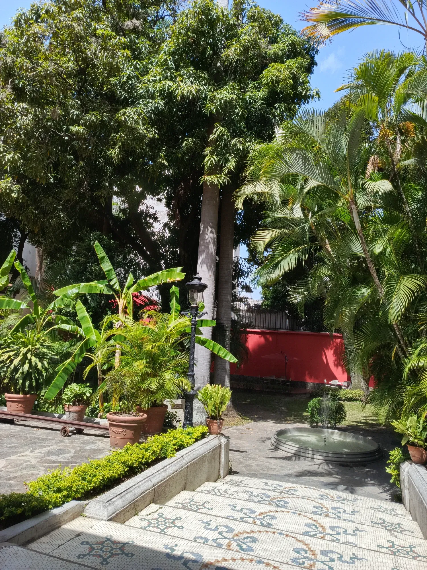 WbeLolA9JxnLxHNp_1000158115.webp