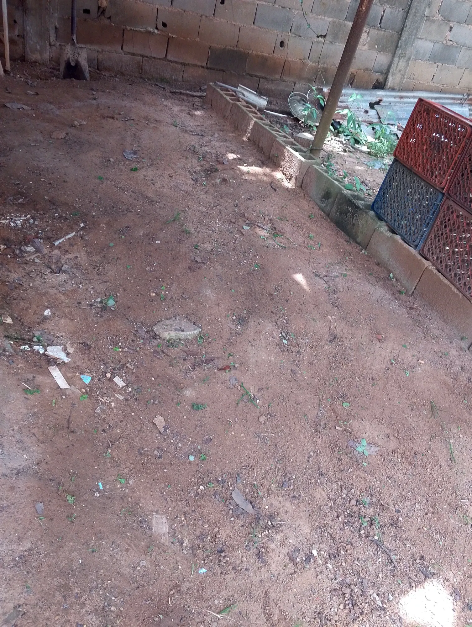 1vCBXoZLBQK55fm9_IMG_20250914_121405_820.webp