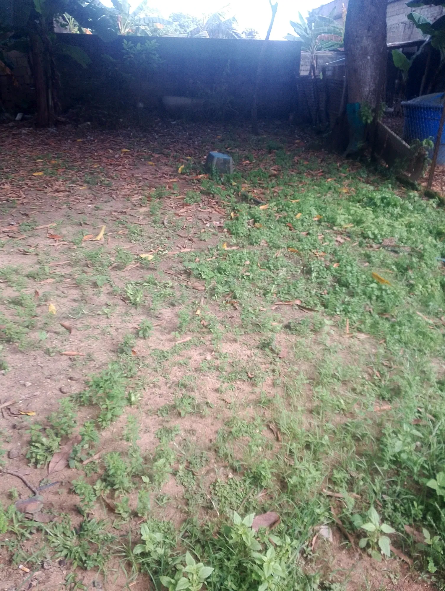 P7yBYxNqXvOT52Hj_IMG_20250903_085516_802.webp