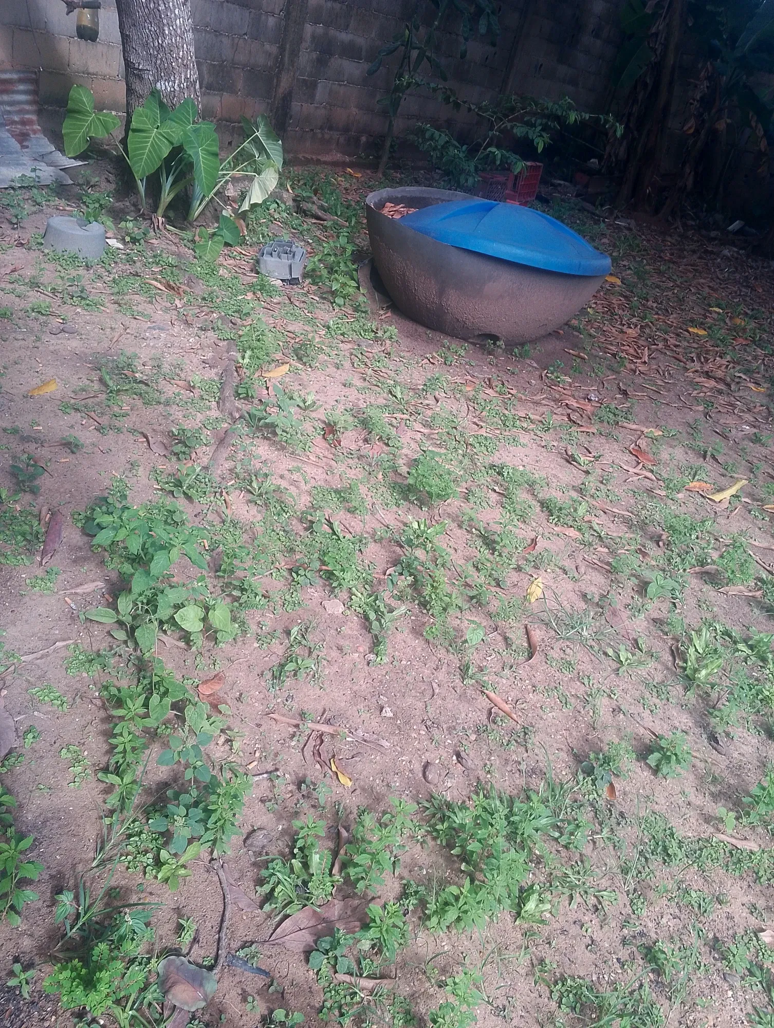 Z8IJkaCDKix2gauM_IMG_20250903_085522_334.webp