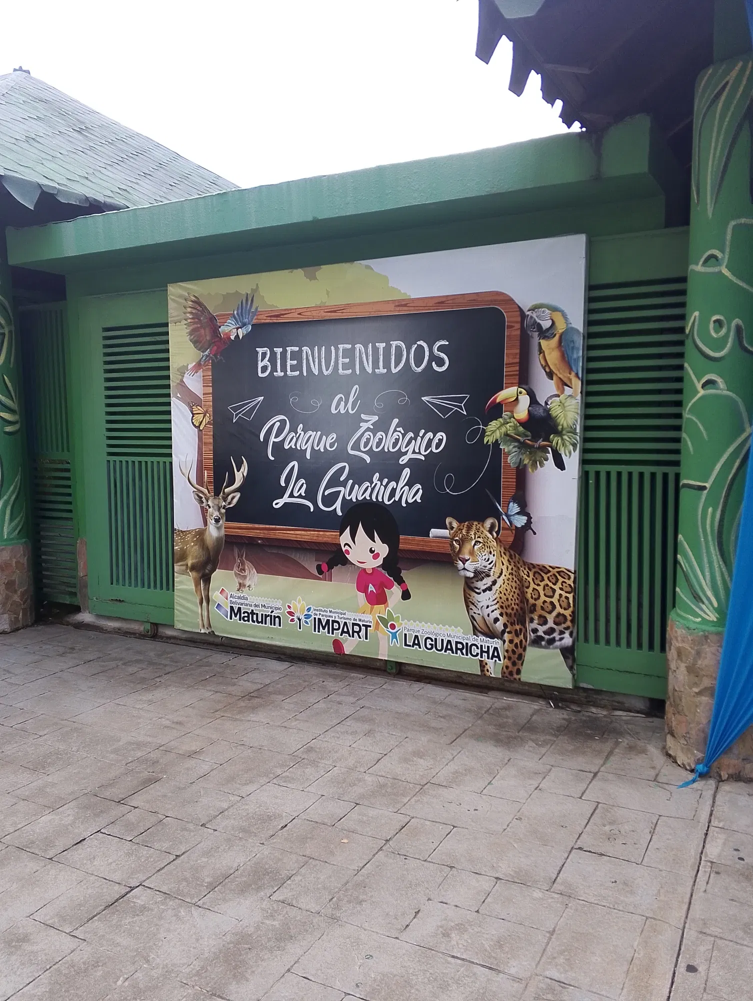 hMZspAAmJmsiPgau_IMG_20250819_104855_094.webp