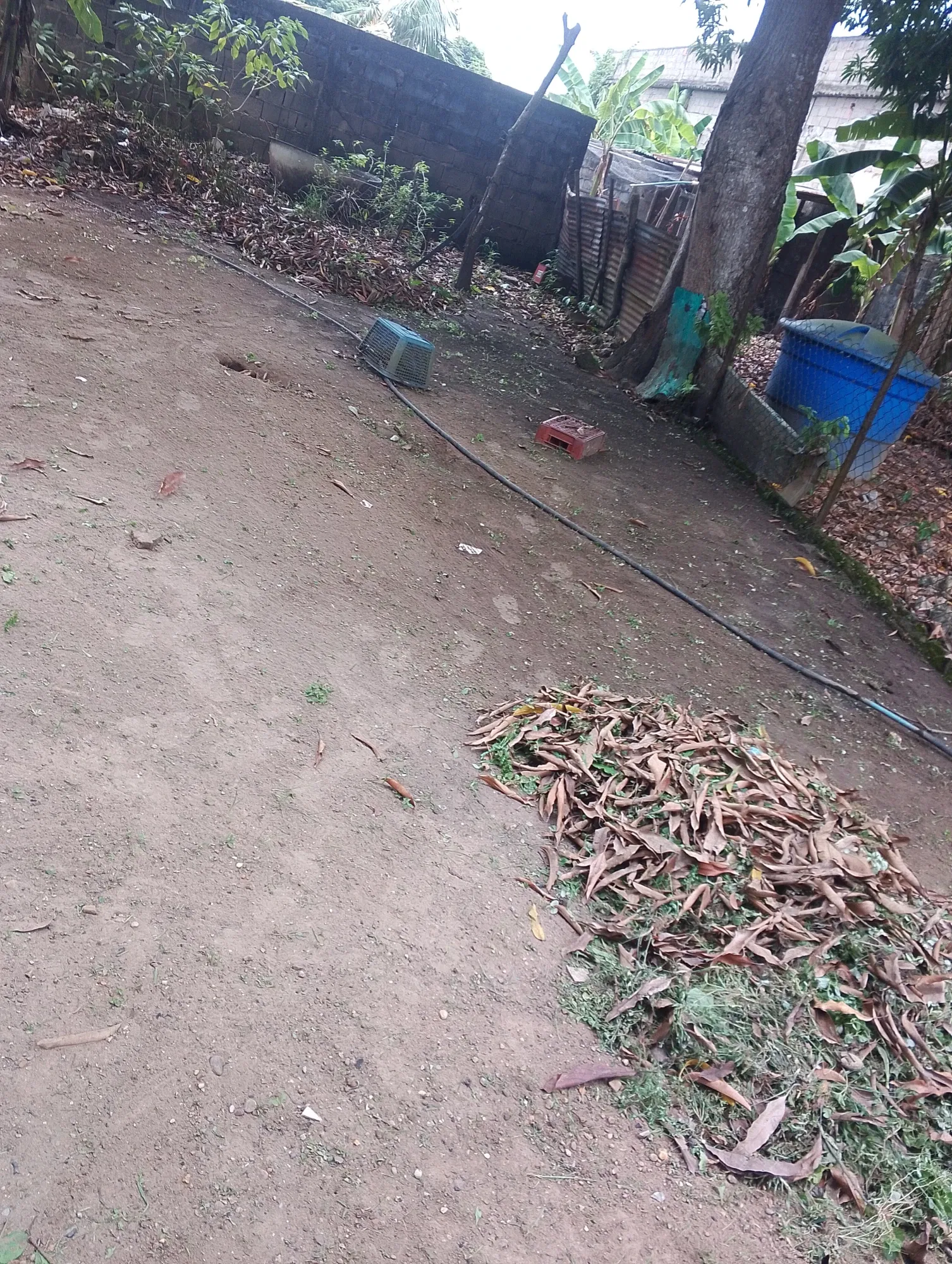hnVGWsw4SKcZUbNq_IMG_20250914_130353_003.webp