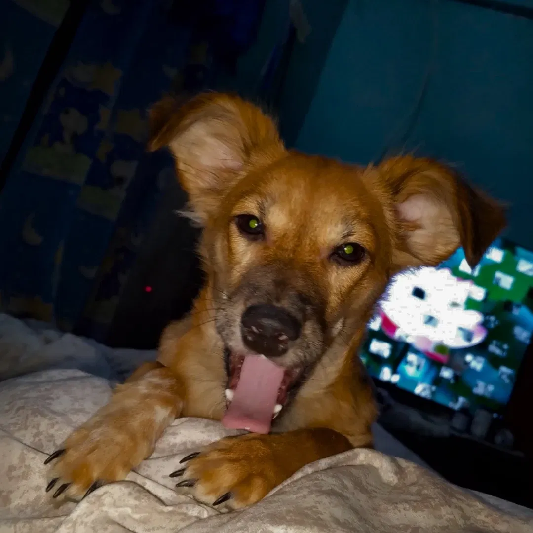 dC8PNmfEfUzZm8Rv_1000822173.webp