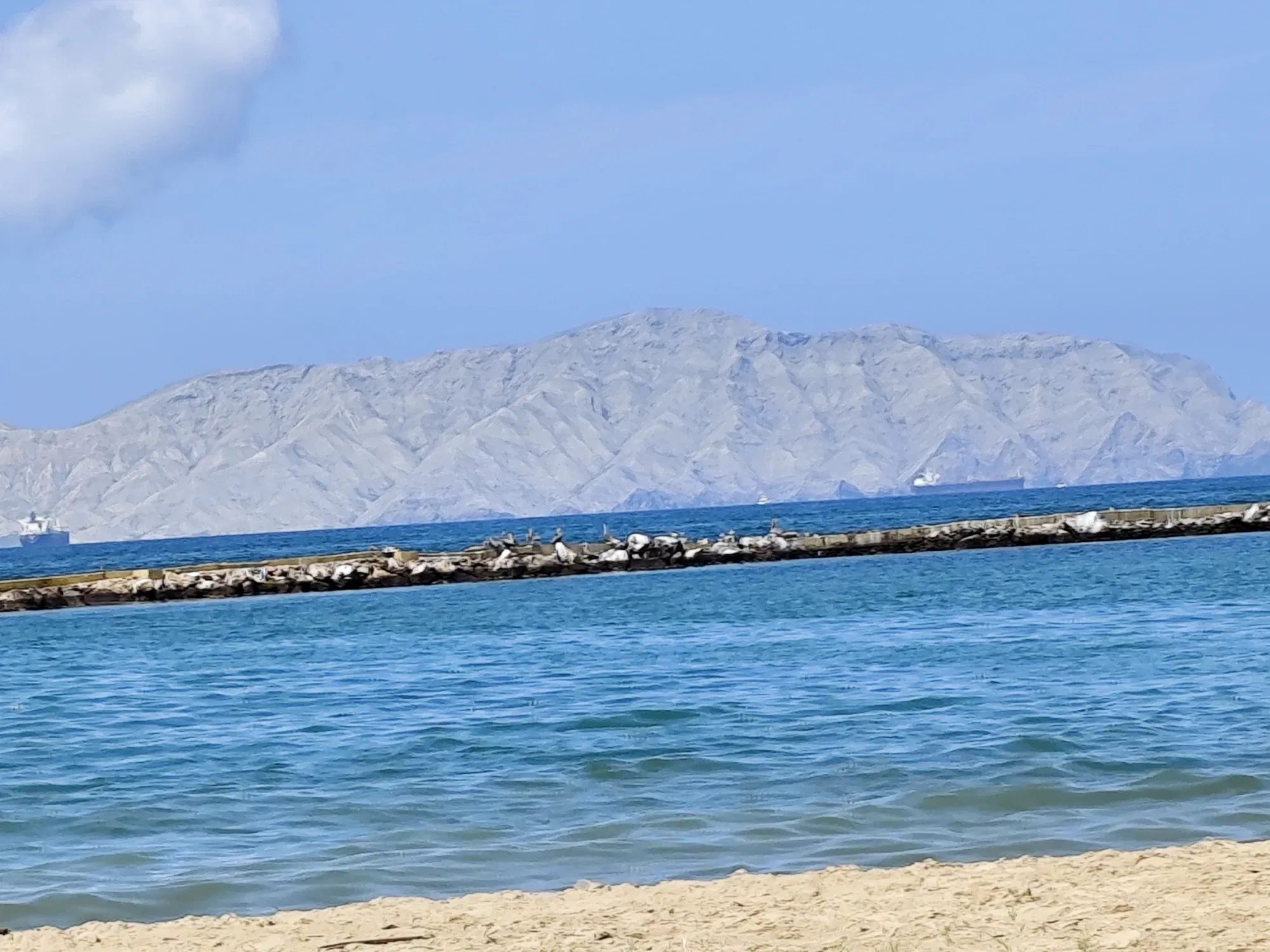 p7pAl0TlVFF45kPk_IMG_20250104_113325.webp