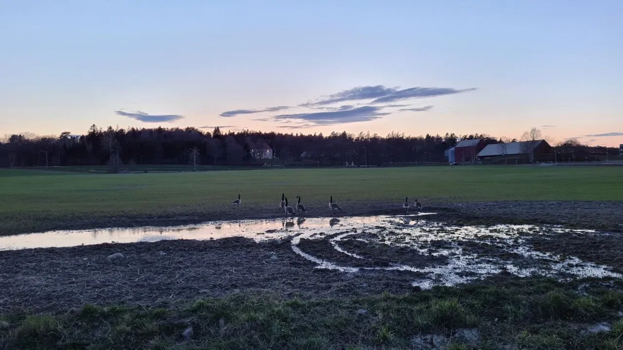 Snow starts meling - 04302021