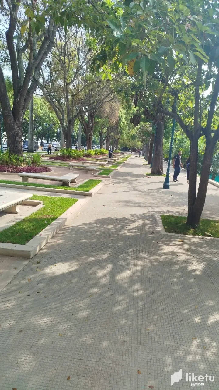 tlB9K1NpiJ83te5I_WhatsApp_Image_2025-05-03_at_8.46.46_AM.webp