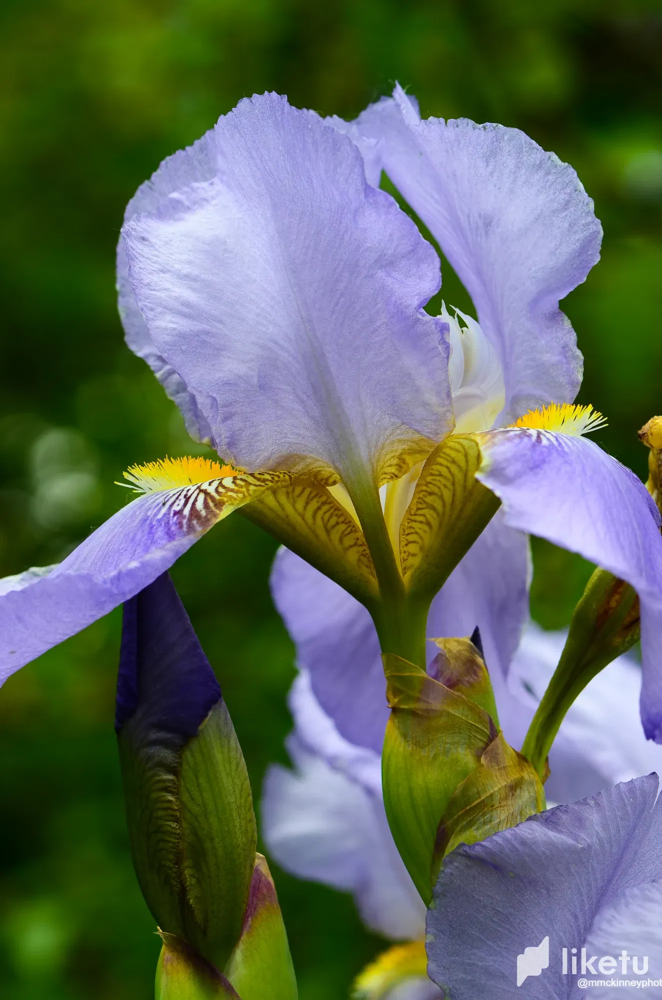 clcezd6t9000w5ysz2u805ti1_August_19_2013-8948.webp