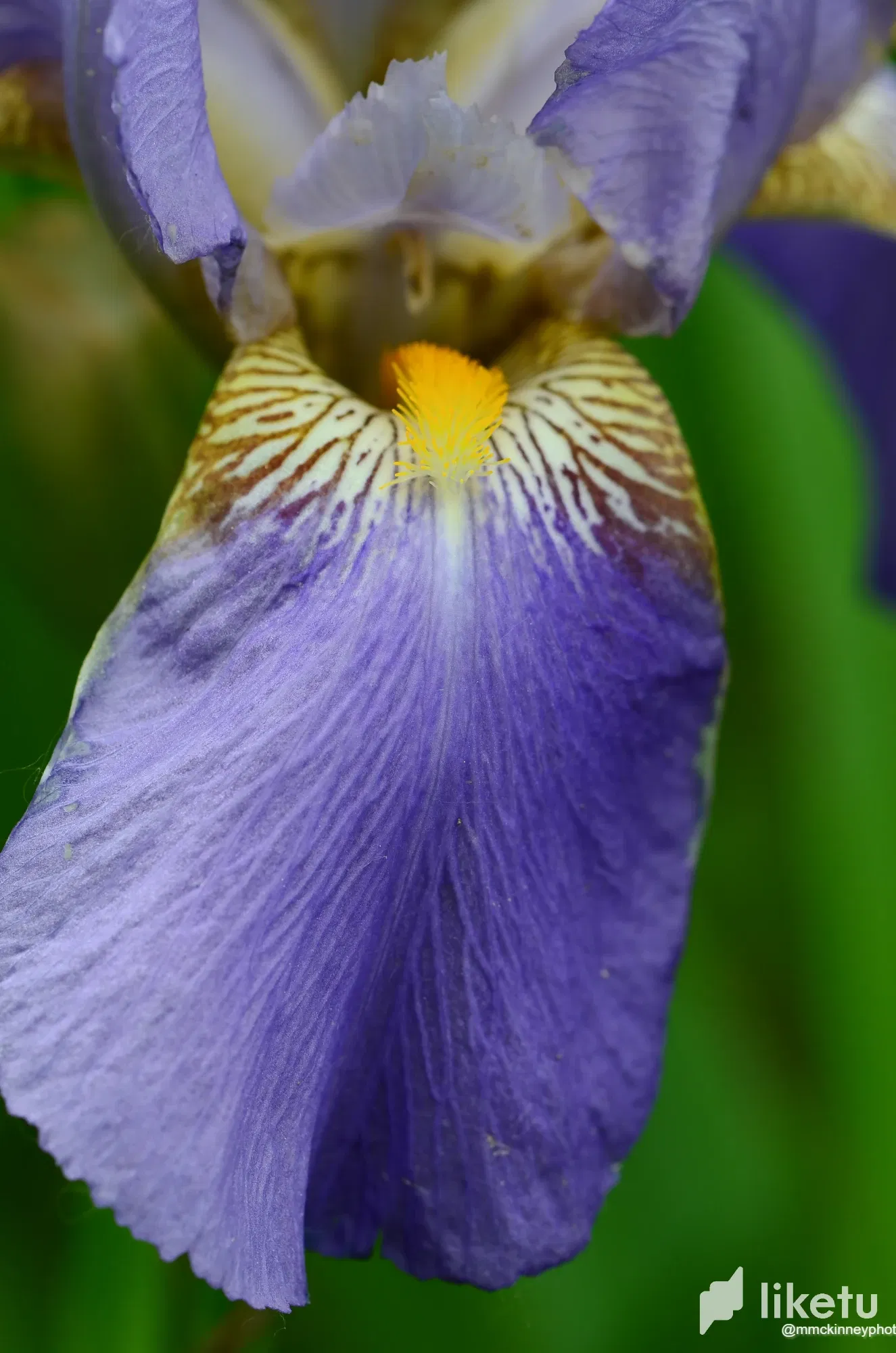 clcezd6tc000k6xszhyh58xa9_August_19_2013-8953.webp