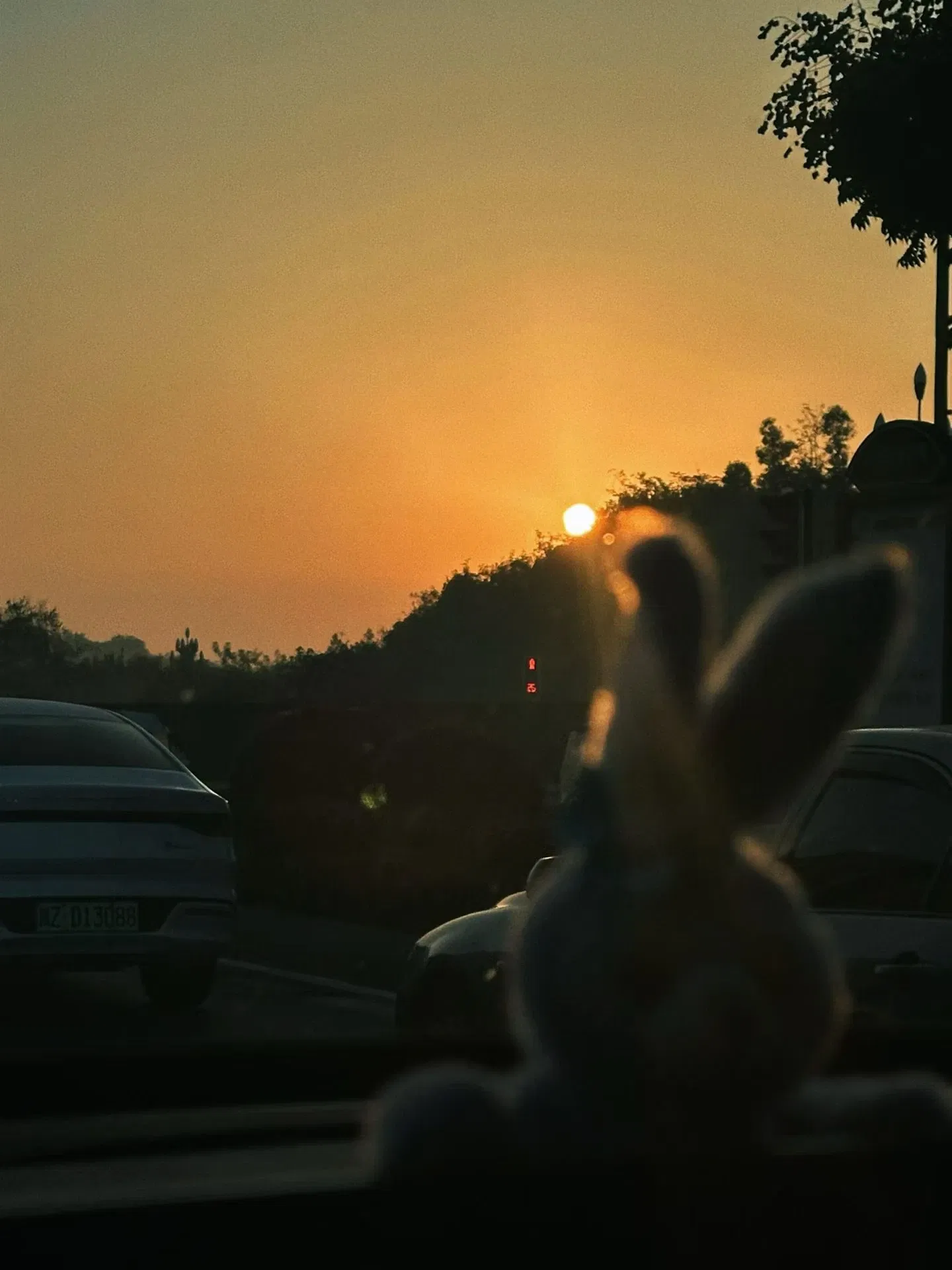 4EG9PjeMXAi15eHs_17159.webp