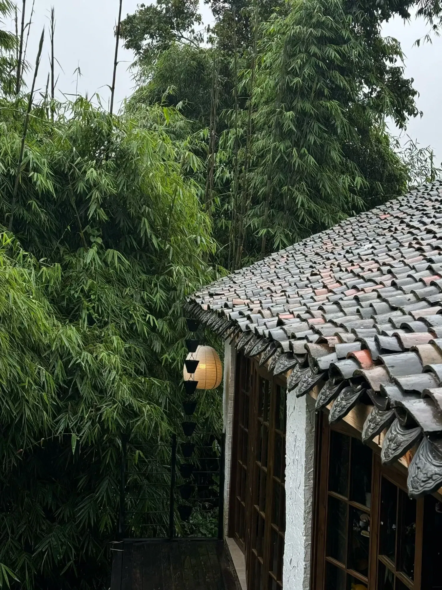 OF3R6ATTa1W0G2kq_19861.web…
Payout: 0.000 HBD那些年怕过的老师
2025-10-26 03:19<liketuimages> <center> ![GmgxOnzpf9aABQO6_19858.webp