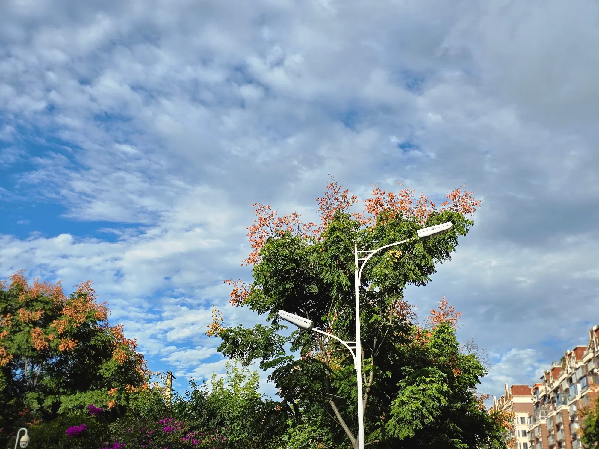 RCND1AA1Ujm2fXdx_16475.webp