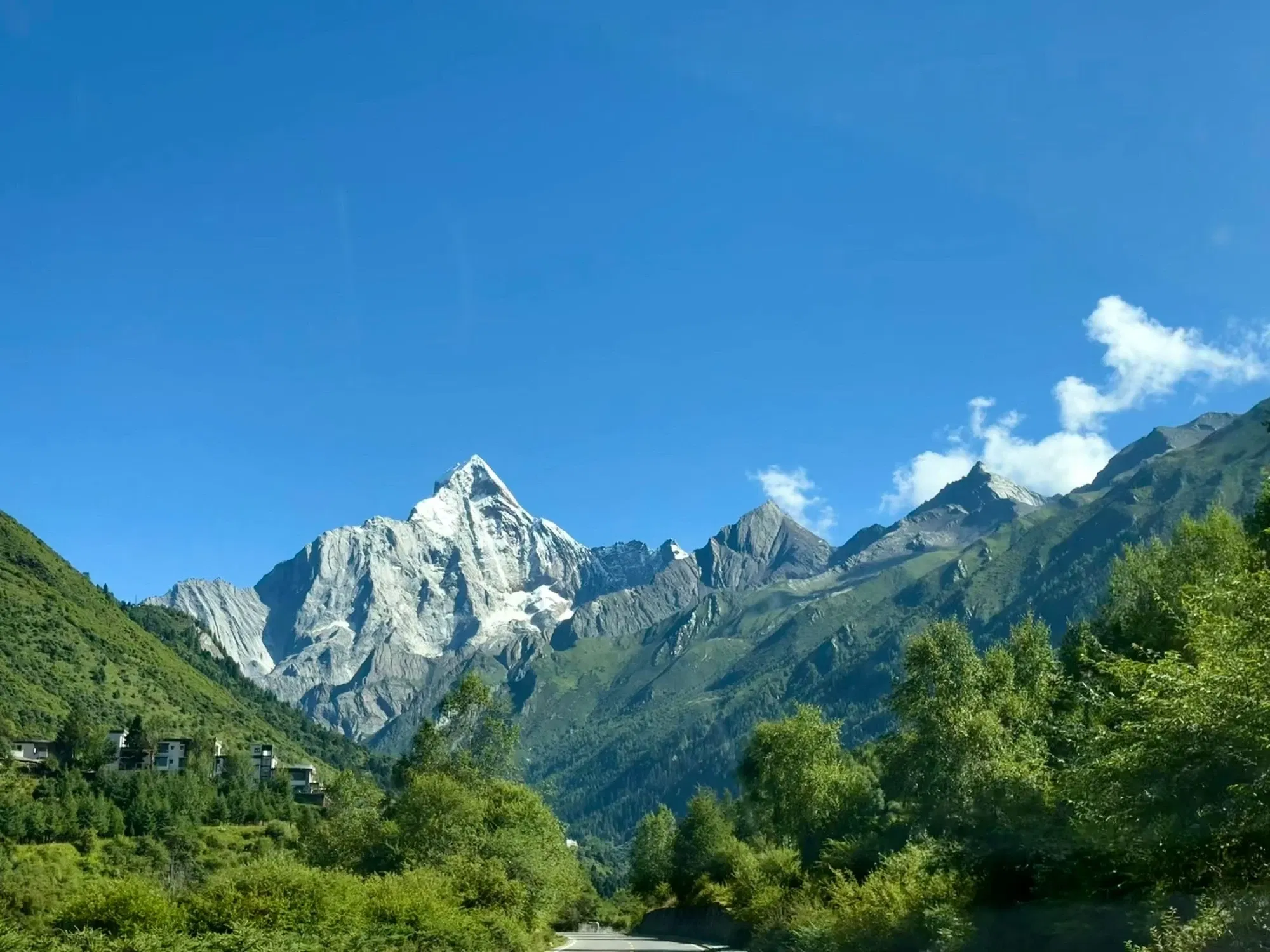moY7FpT53Fp65qLD_11665.webp