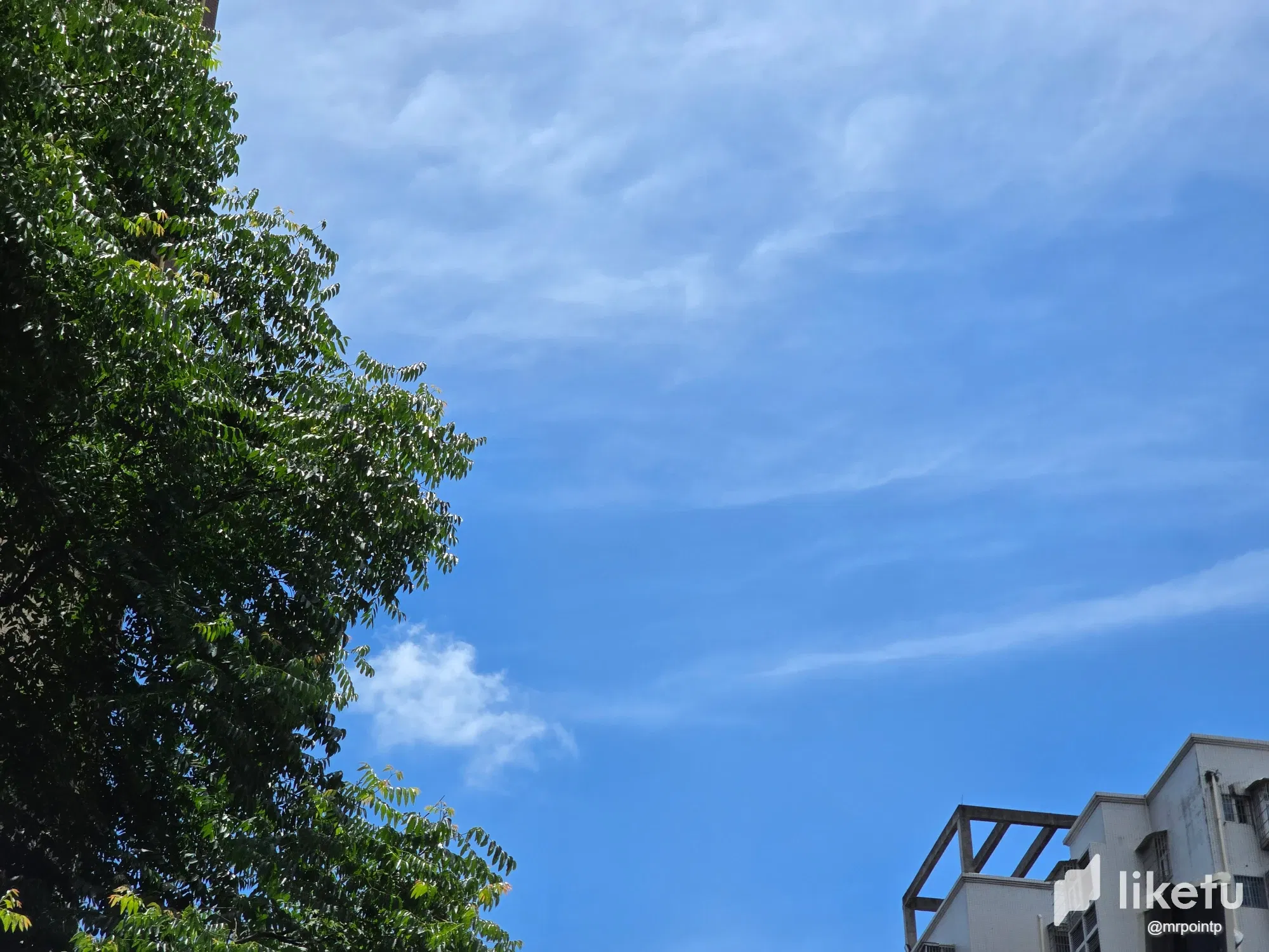 morXi09cB4NGxnny_1.webp