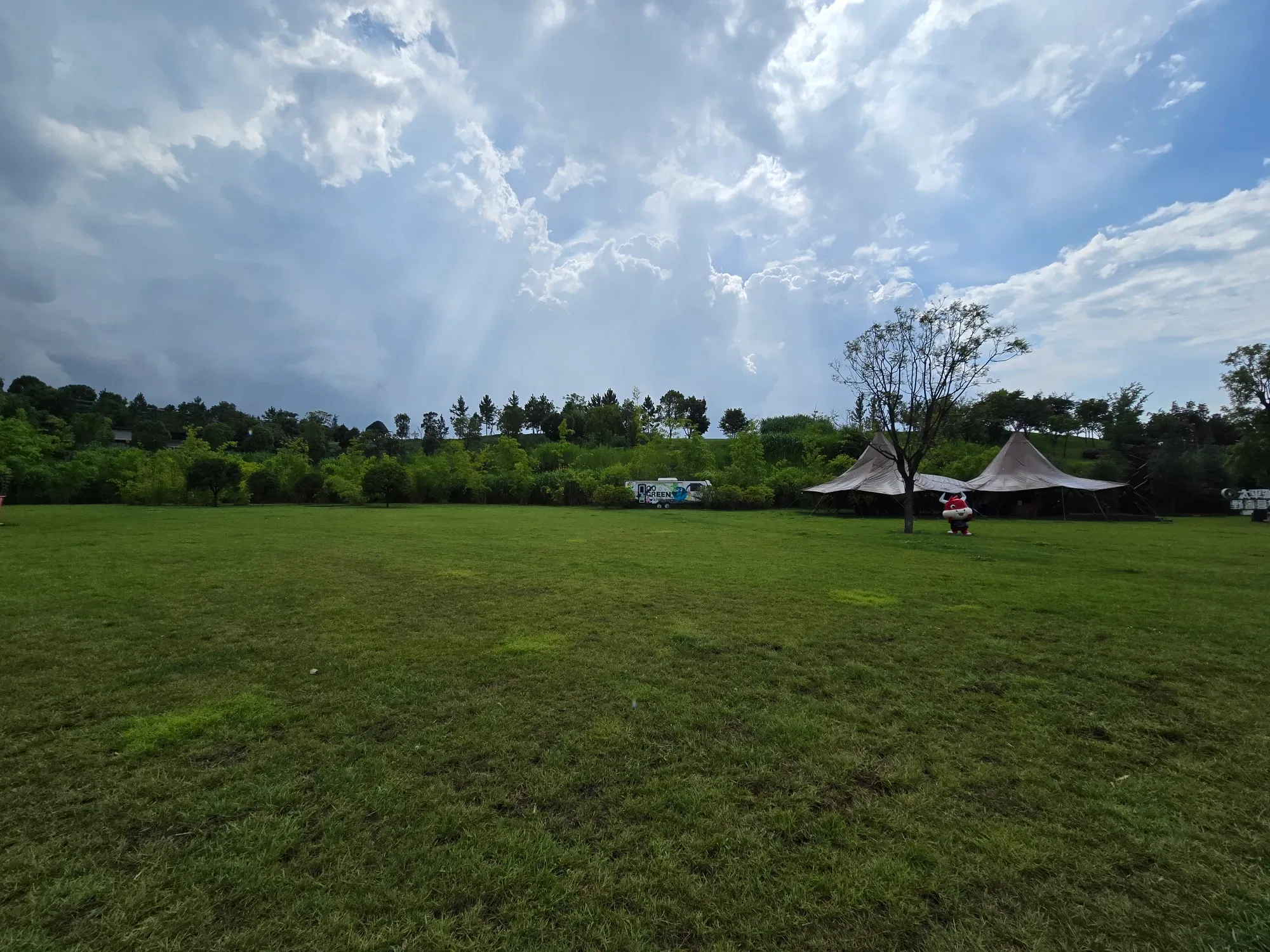 r42dzqGYAfEjQpg4_9615.webp