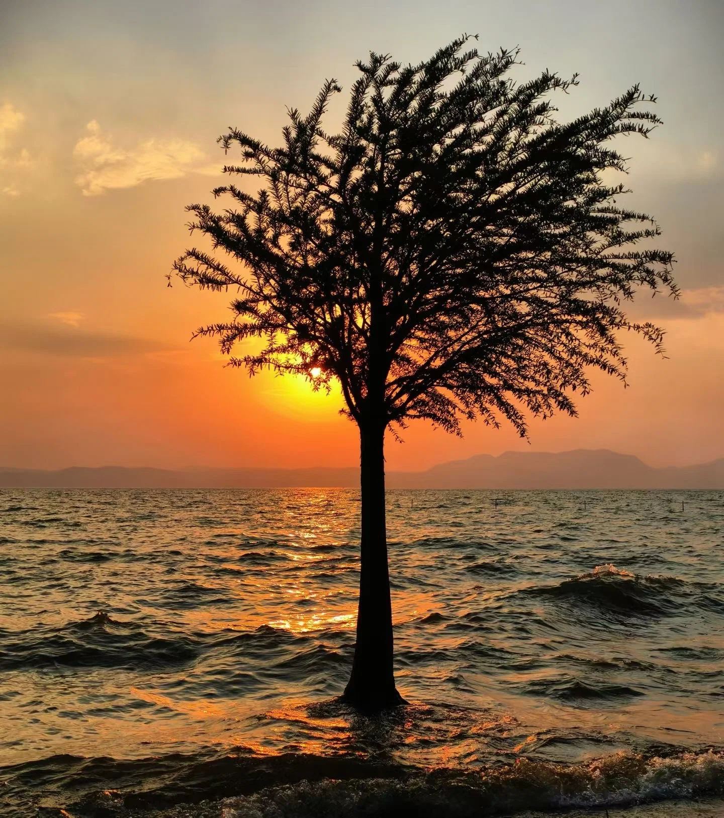 「生活」办公室的健身潮