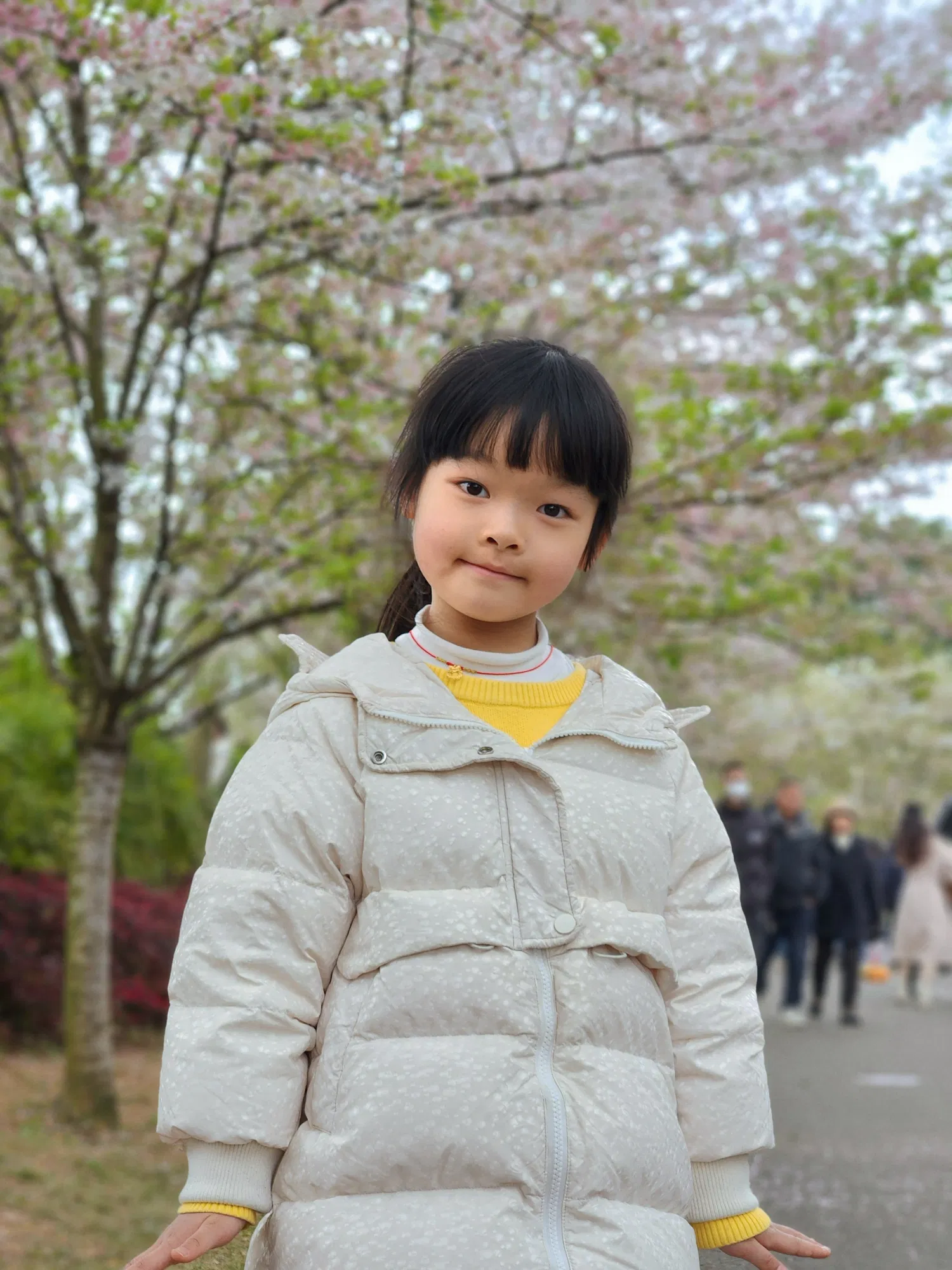 7fquTcdlqWCZC7Sz_IMG_3491.png
