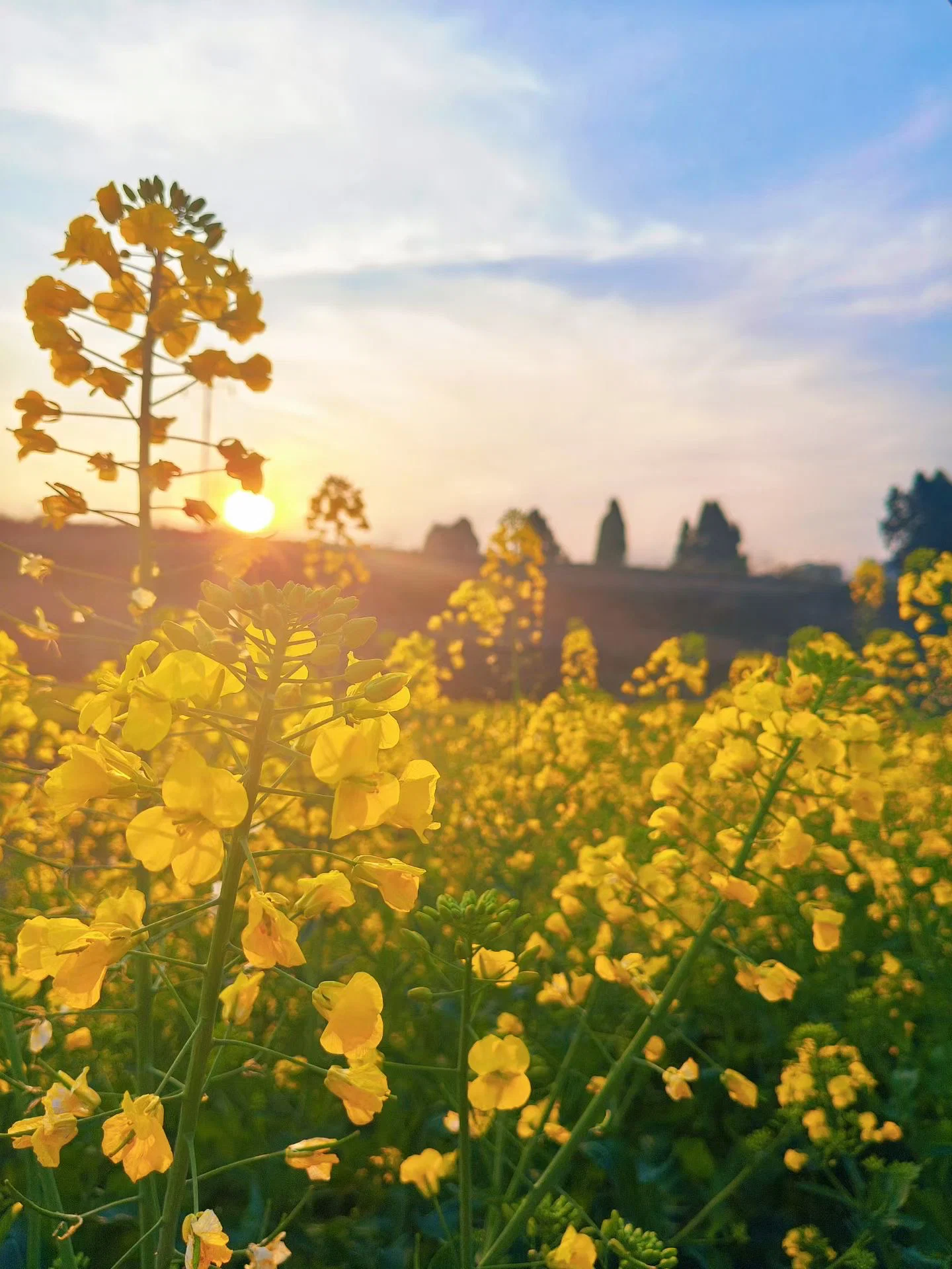 「生活」办公室的健身潮