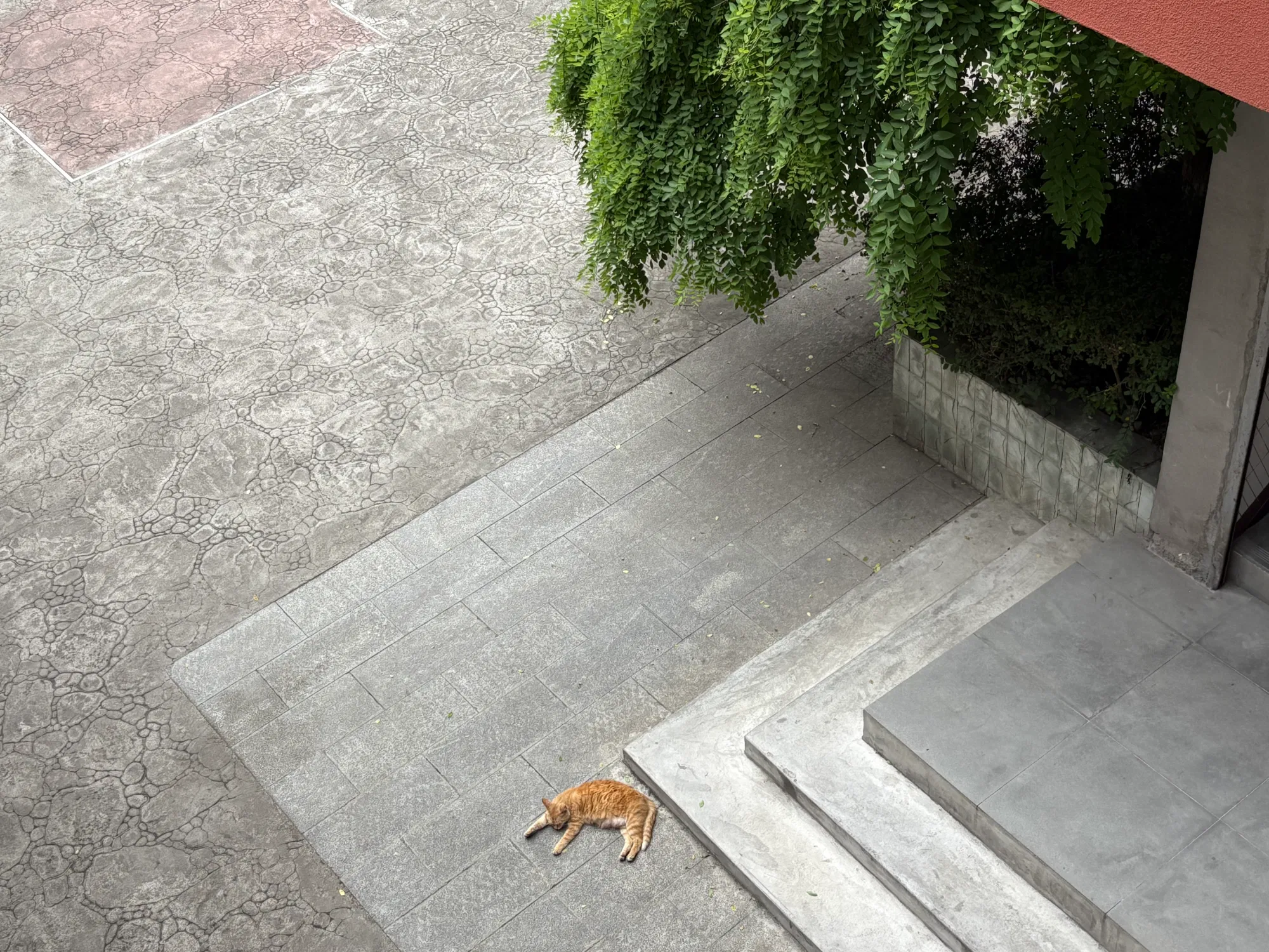 QT4AZdqibBetoTtD_IMG_5201.png