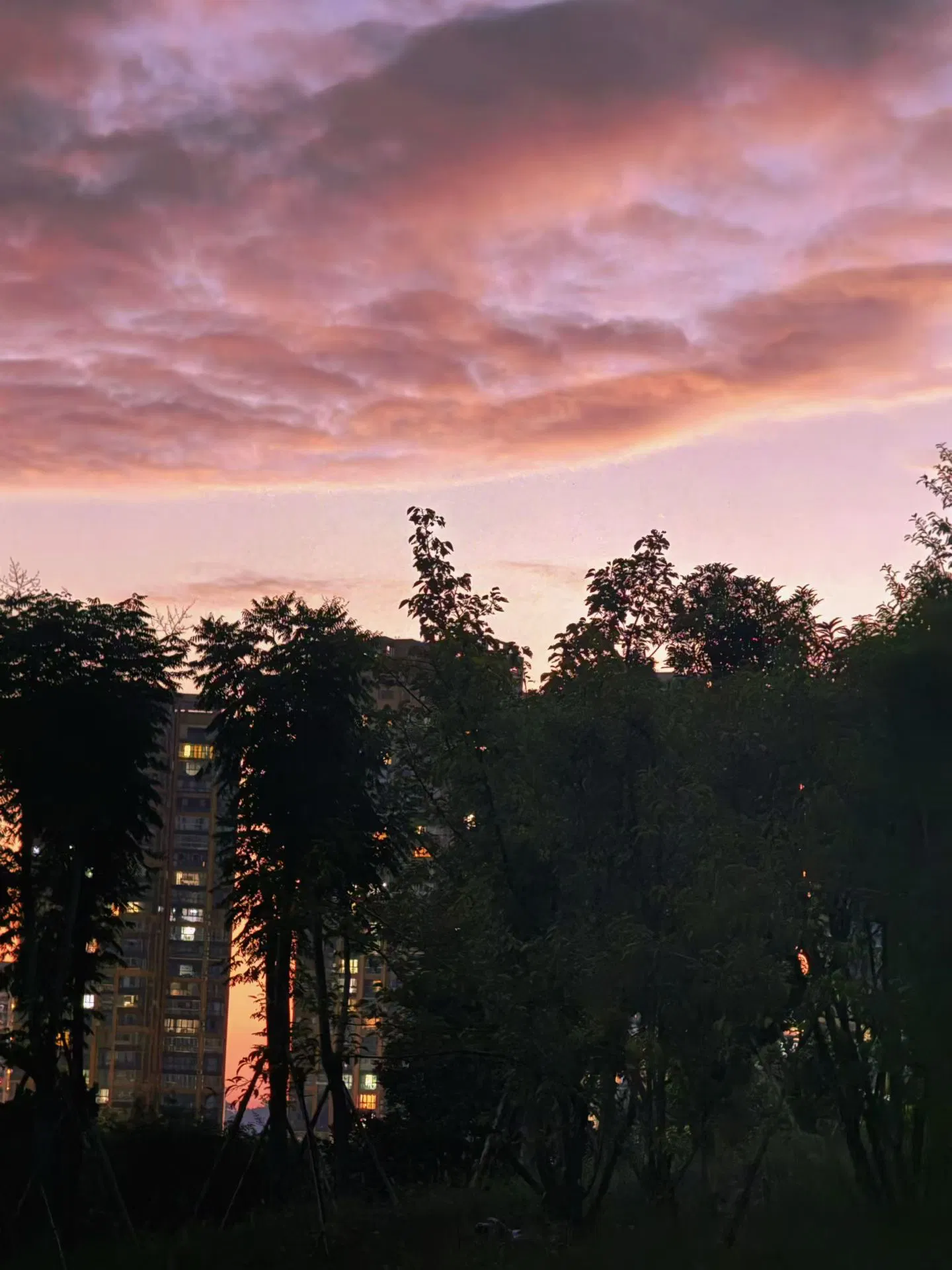 aPhqz25n34auZ9wi_6dbd6dfe0ab4f995a3ceb321ac980c21.png