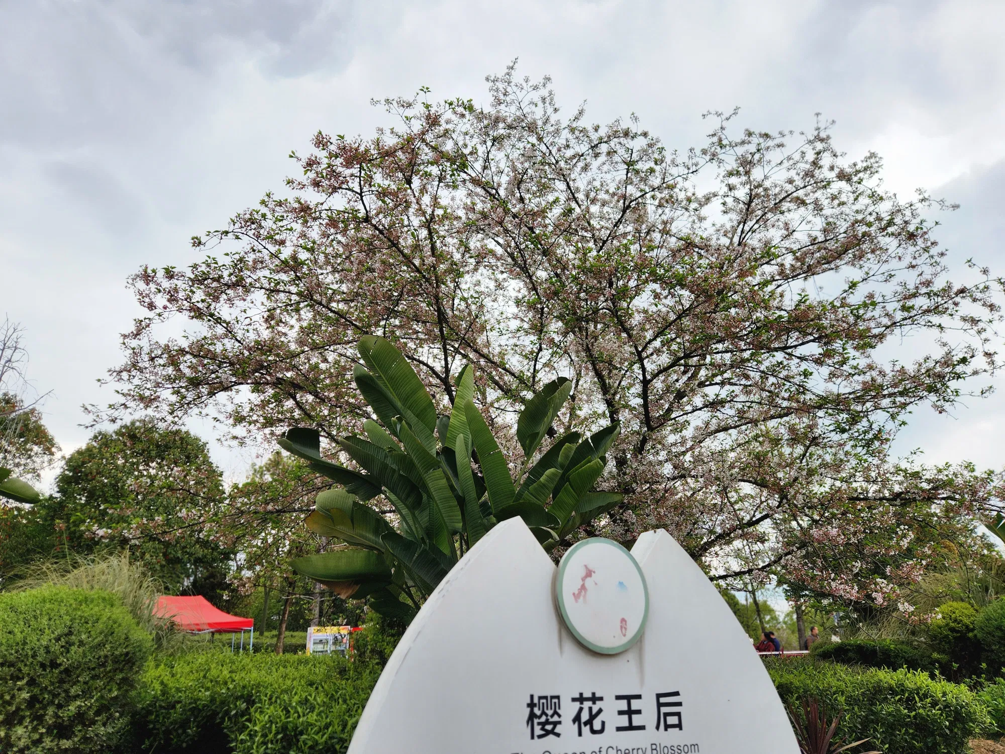 qUAa0oPbmrili40X_bb2f3ac0d951fd0c86e089201929e25b.png