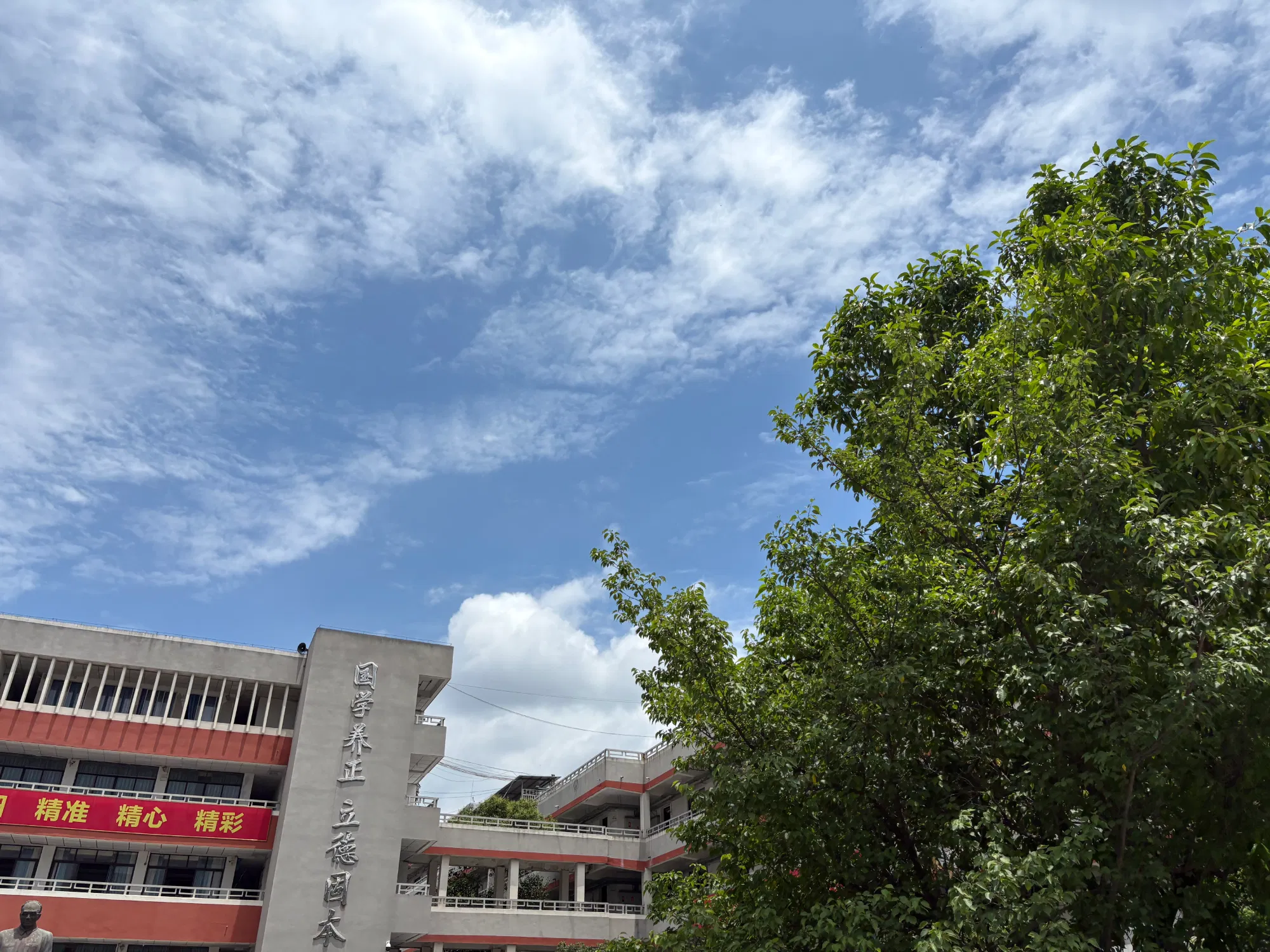 ziMg9RnDsjZygrWX_IMG_6625.png