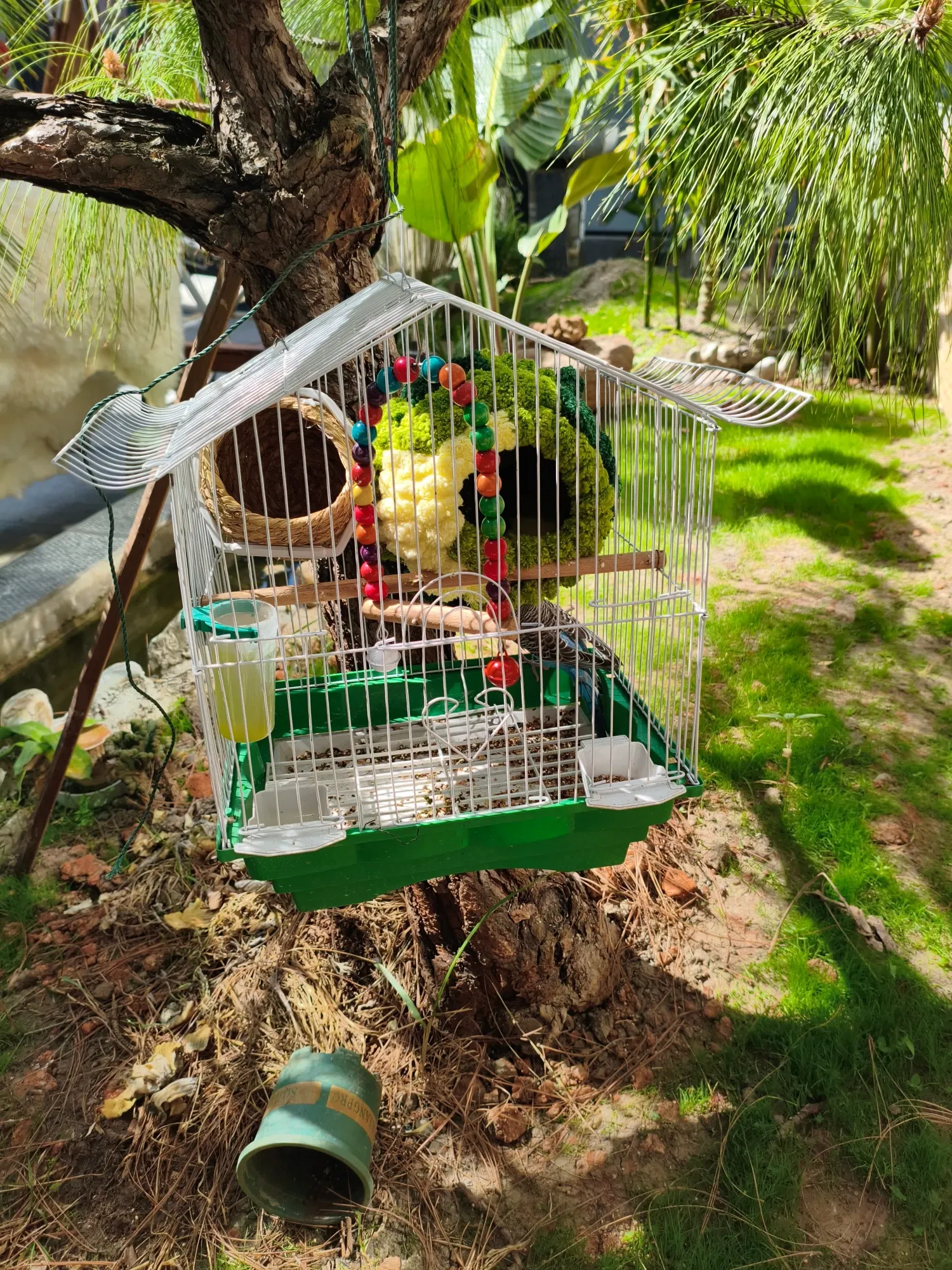 手术恢复中……