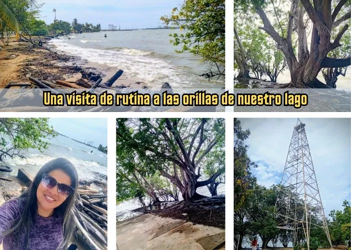37PadAVyWT2FYwdp_Una_visita_de_rutina_a_las_orillas_de_nuestro_lago_20250913_164347_0000.webp