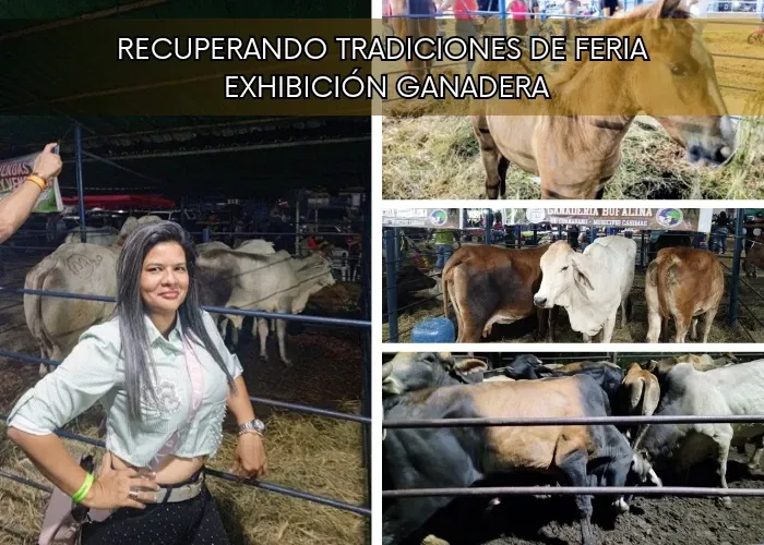 RpmAjLNCqVPiNFbs_Recuperando_tradiciones_de_feria___Exhibicin_ganadera_20251009_094150_0000.webp