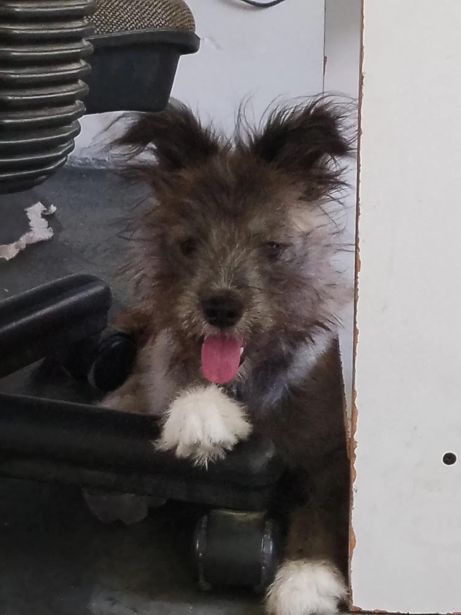 Mañana en el oftalmólogo 💕