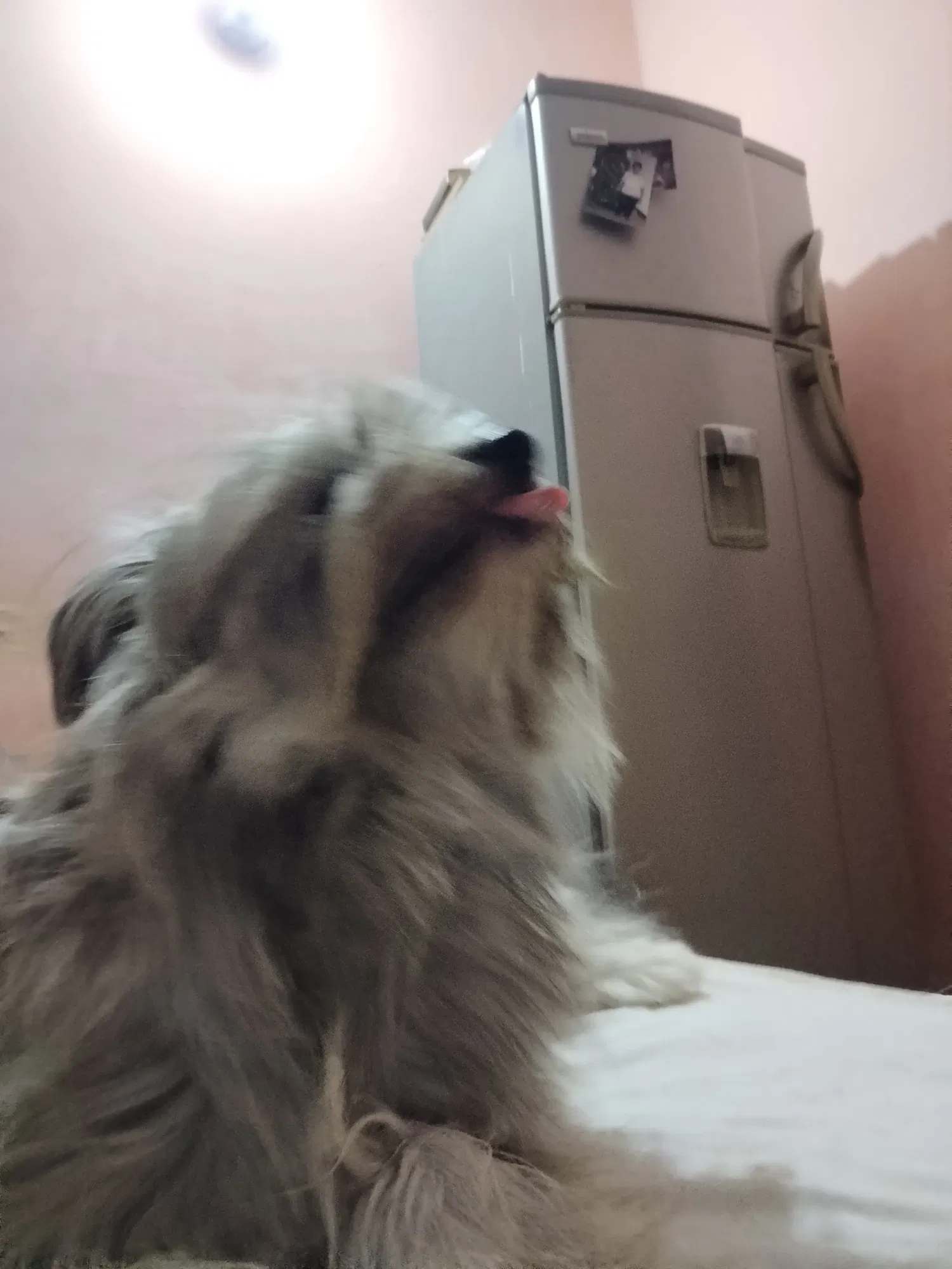 YiyjwzE6zEgM9lqK_c75cce6a-6ddf-49c1-bbf0-c3195a37becc-1_all_4808.webp