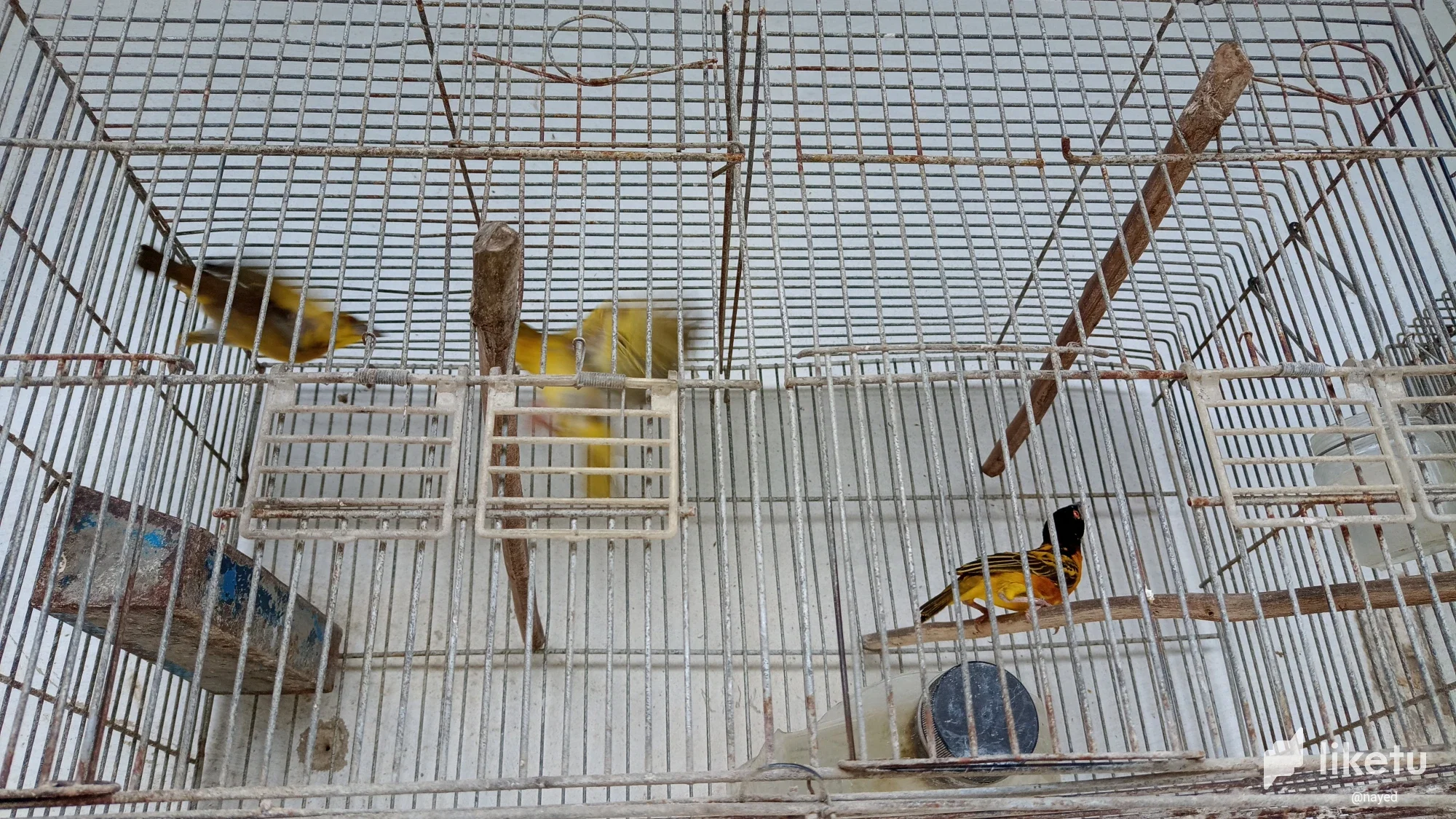 clkh1v8my005g20szfyhwfyqa_IMG_20220930_103226432.webp