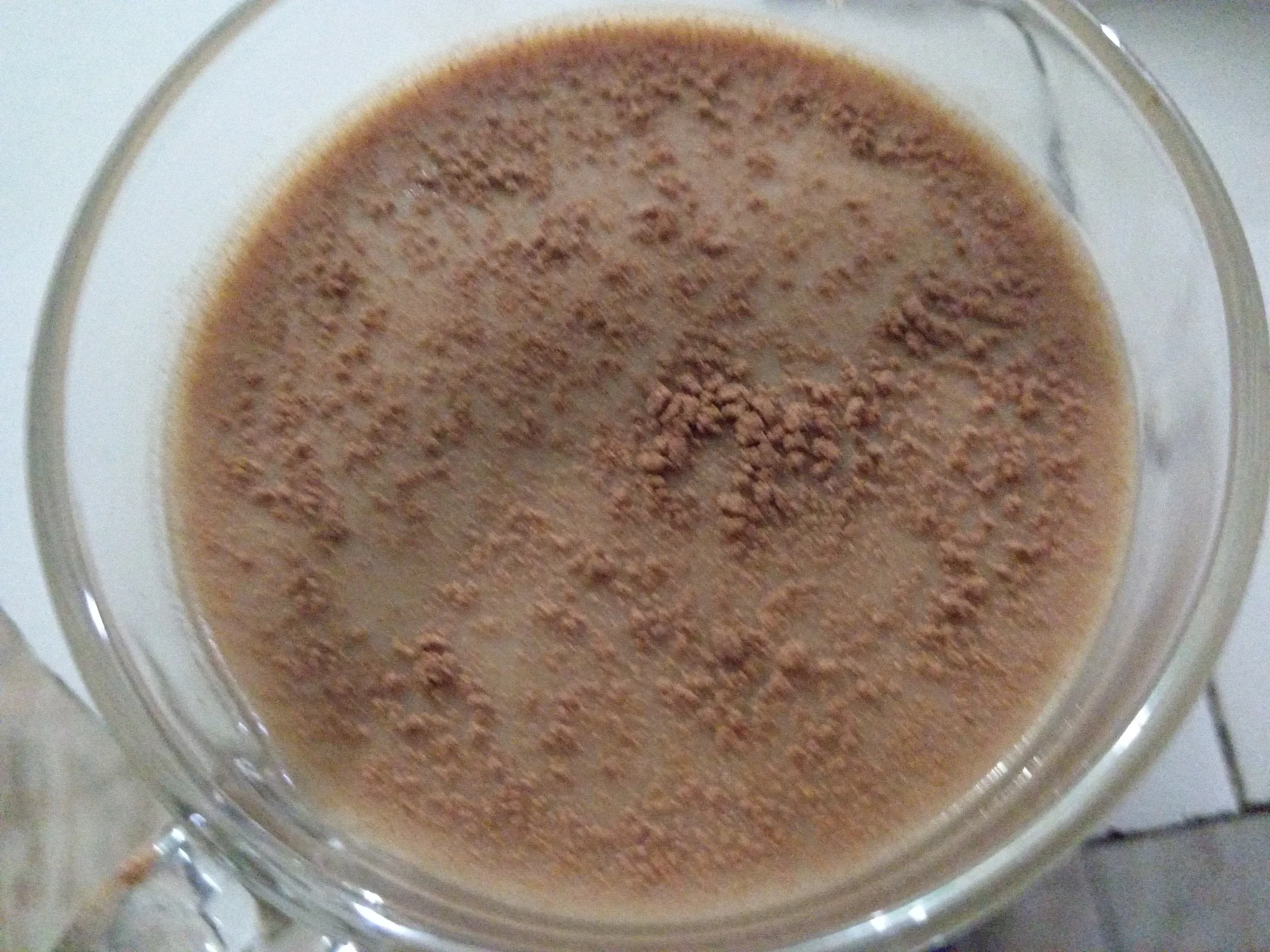 fzrMb5RmSajcnwD6_1000543412.webp