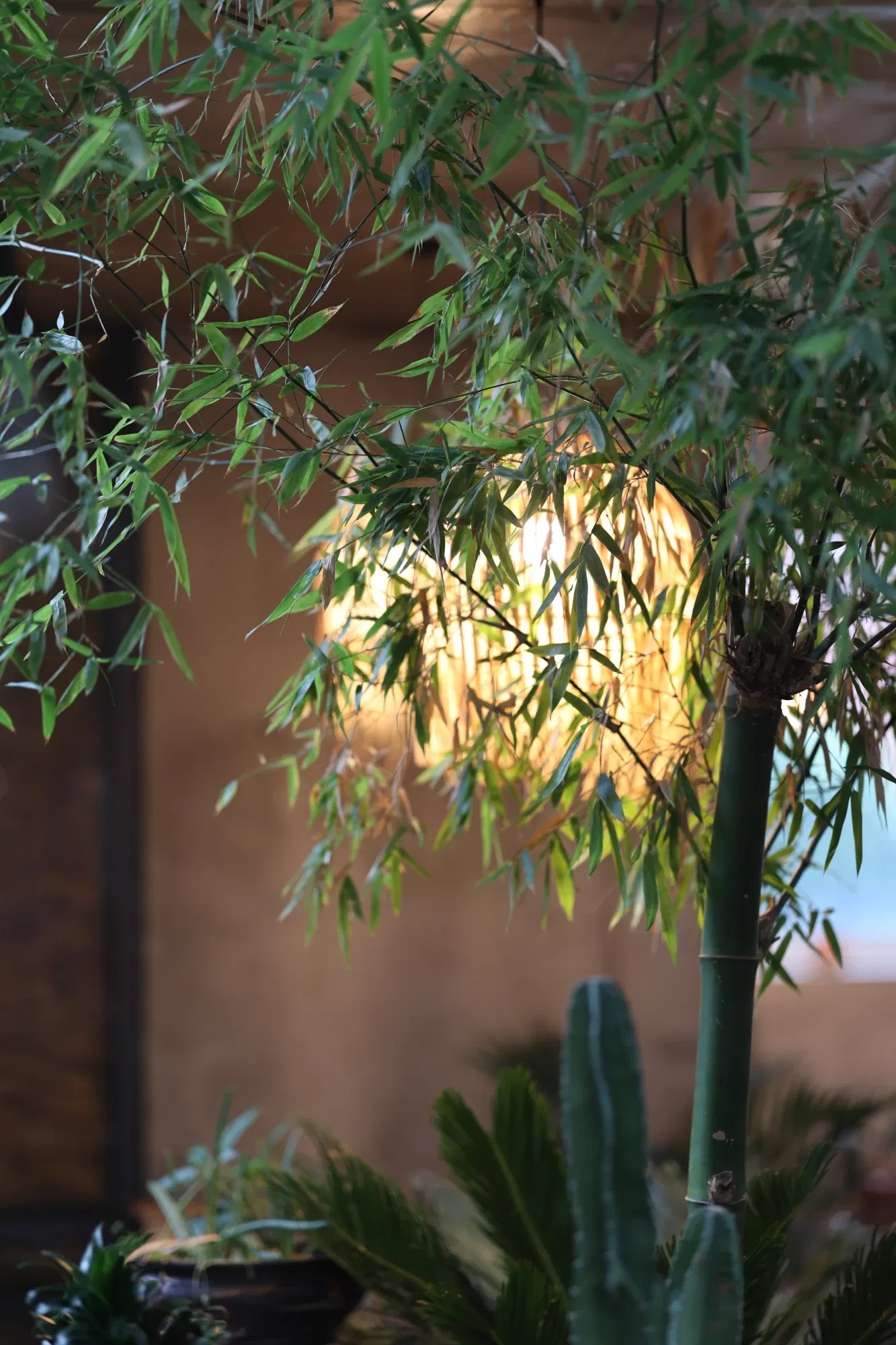 看的我one愣one愣……