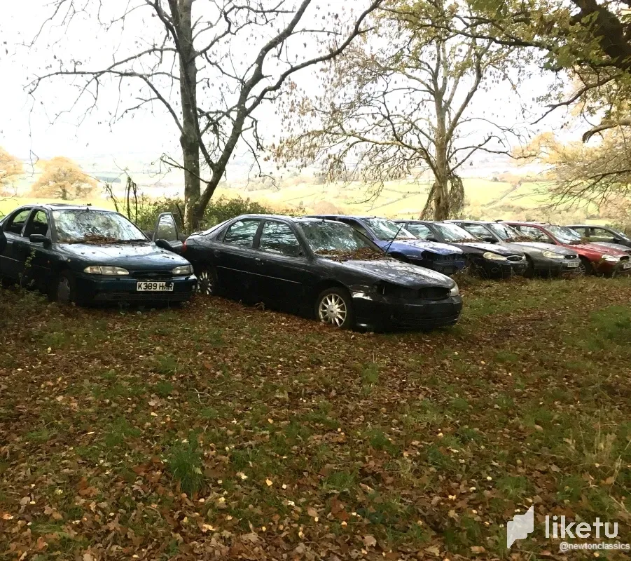Field Of Broken ... Ford Mondeos? Mysterious 'Barn finds' ... 