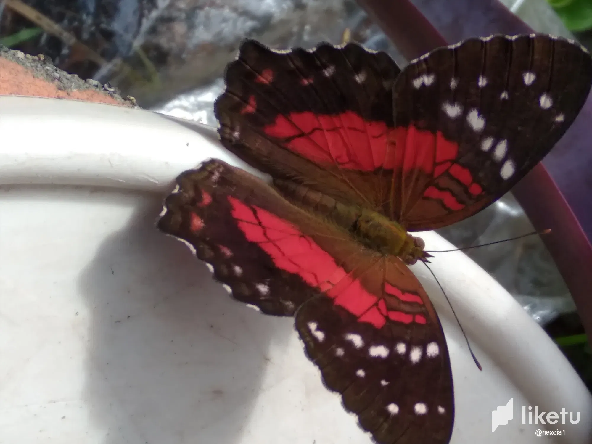 clmtdjor803gi0xsz0lqod0aa_20230731_090849.webp