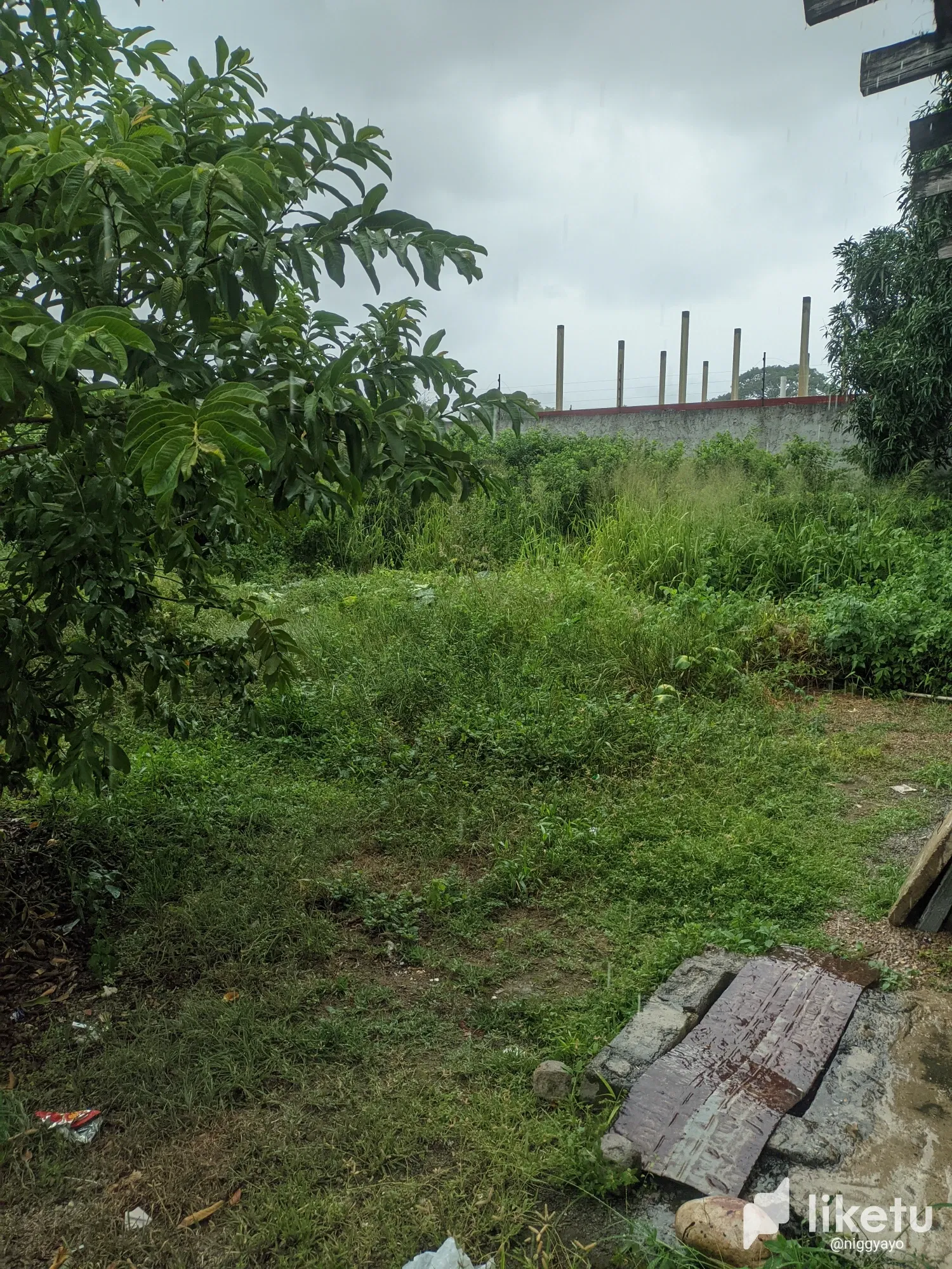 Lluvia, el enemigo del skate 🛹🚫🌧️