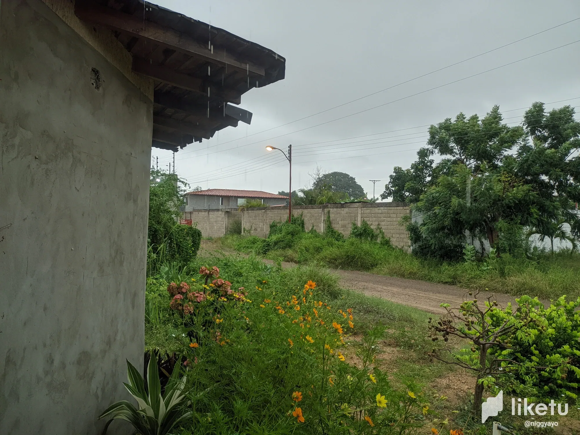 Lluvia, el enemigo del skate 🛹🚫🌧️