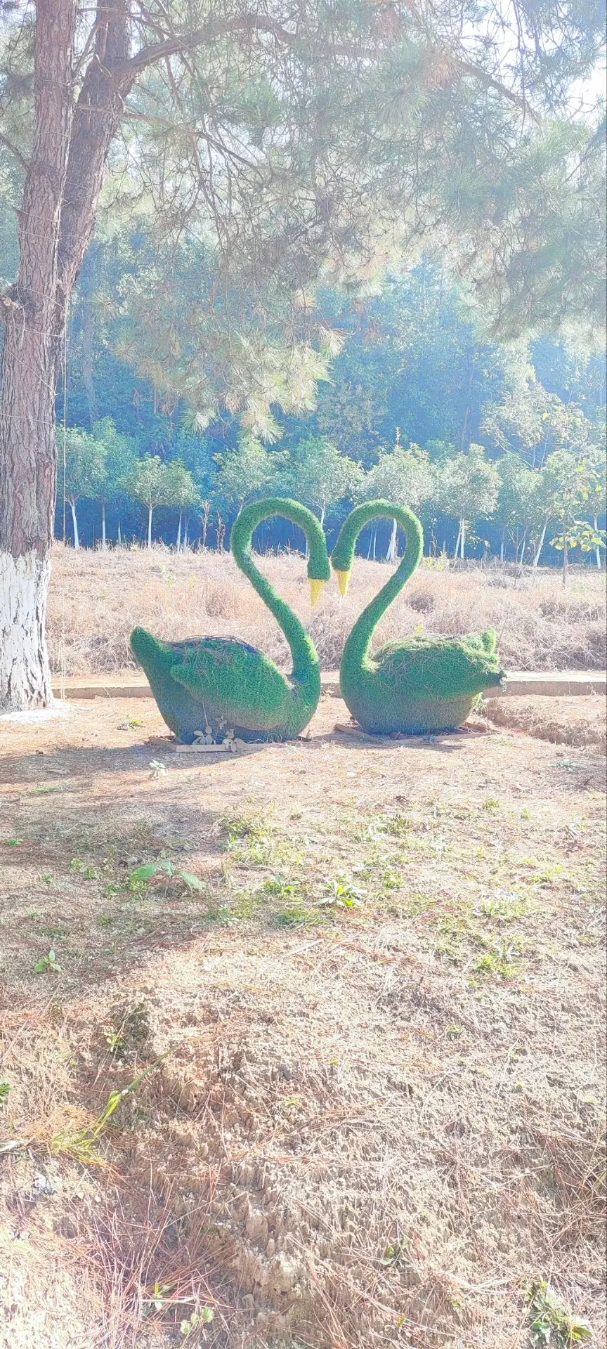 25.11.22的周六再见啦~