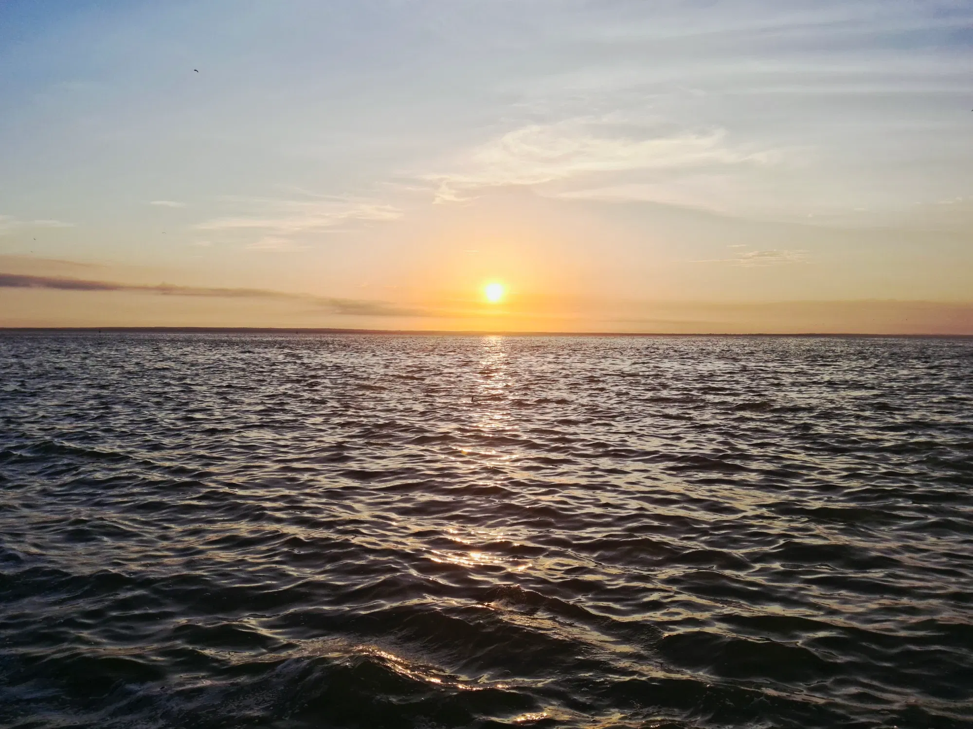 1RRh9kZWCjEeeg9D_20250907_065055.webp