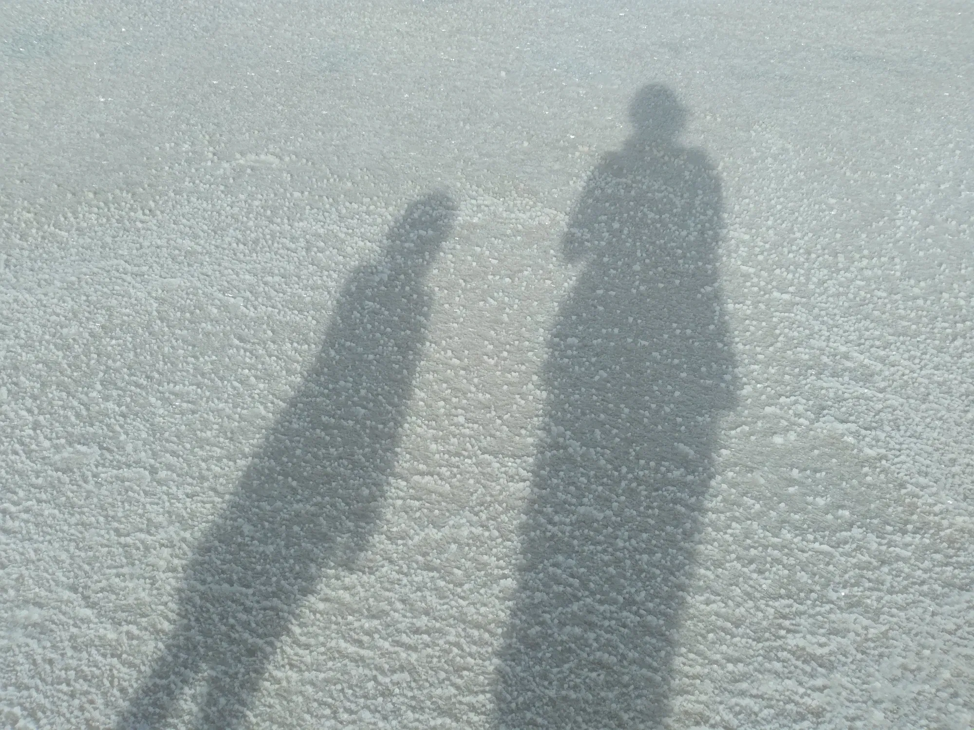 gcposhu4aRV8PdR3_20250830_165625.webp