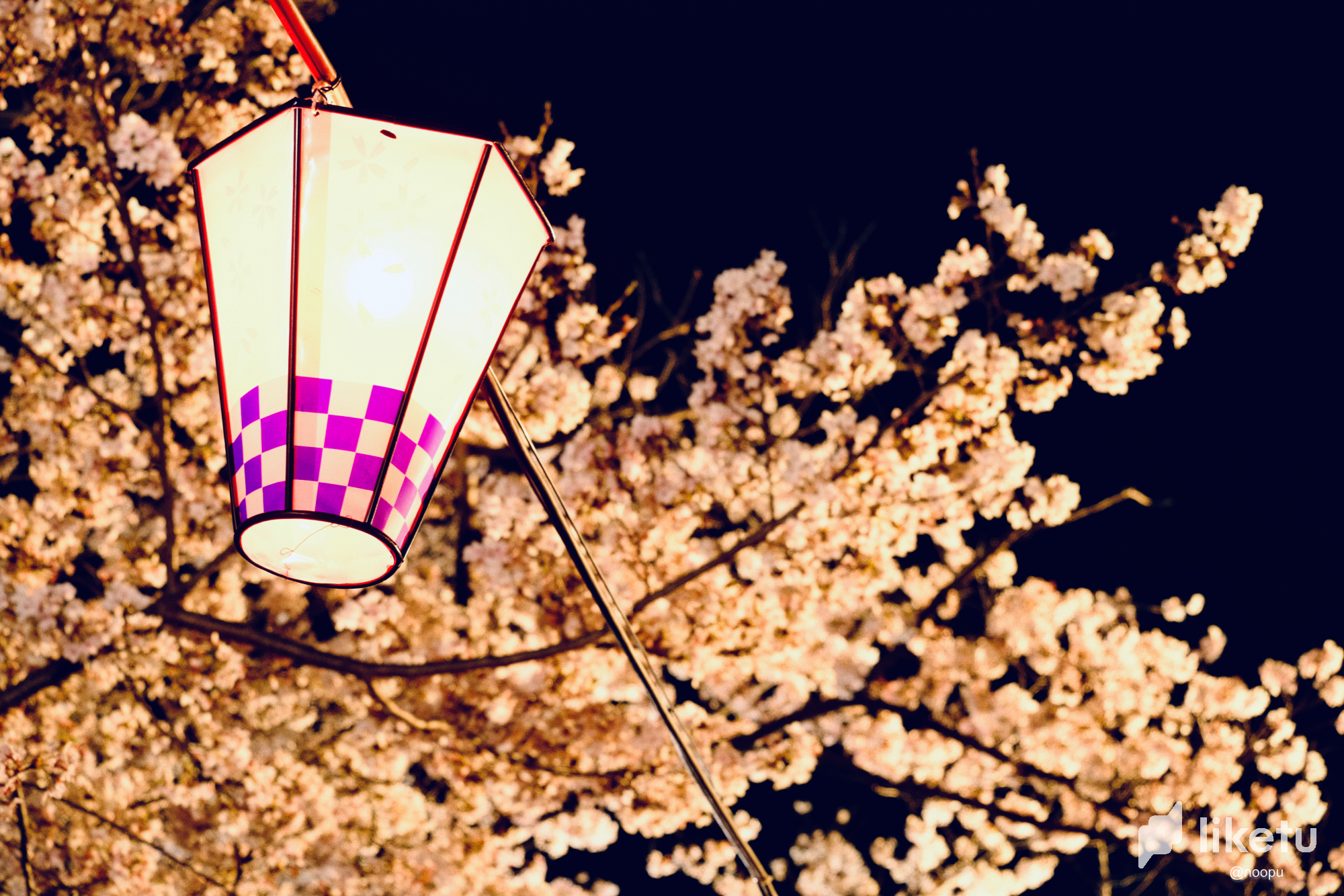 clg57ck3r00y915sz0gwbhcv3_5F20C3A7-262C-4D3B-AC2B-3E104D72F1C4.png