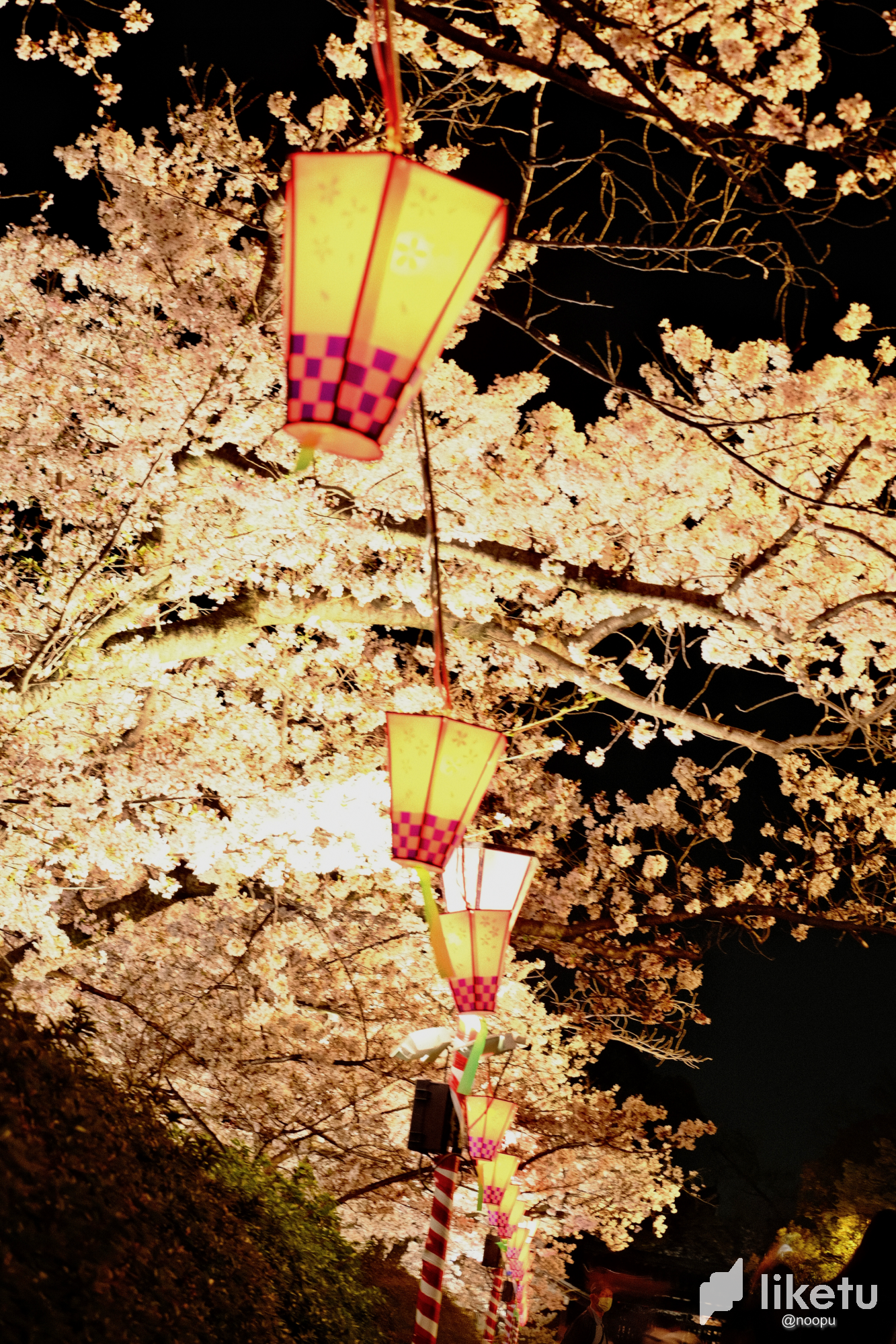 clg57edx100vp22szb4f0hfmd_95E2F5B7-4205-410D-A265-F12BAF7998B5.png